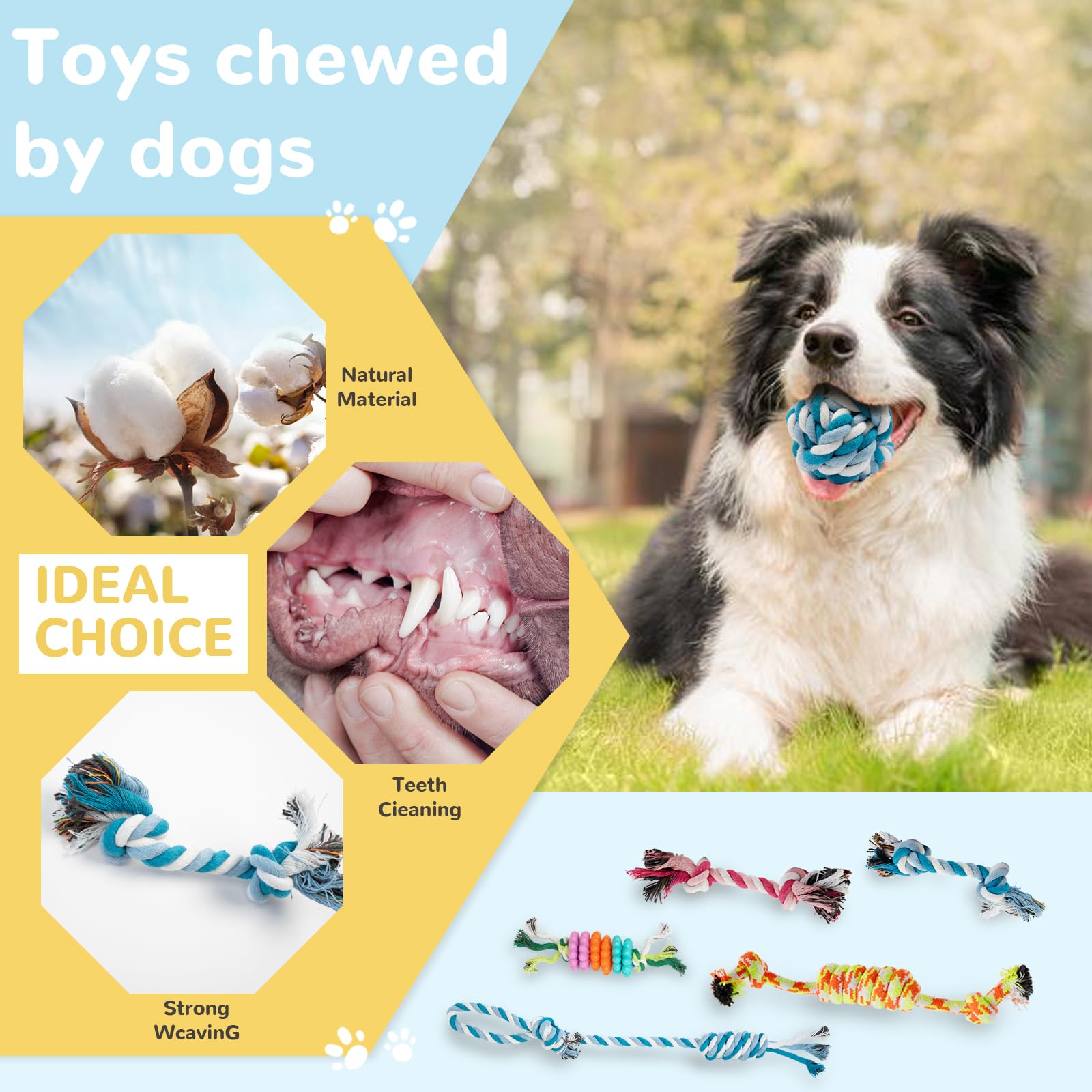 Sxkjjc Dog Chew Toys For Teething,Boredom,Toothbrush,18 Pack Puppy Toys With Rope Toys, Balls And Squeaky Toys For Small/Medium