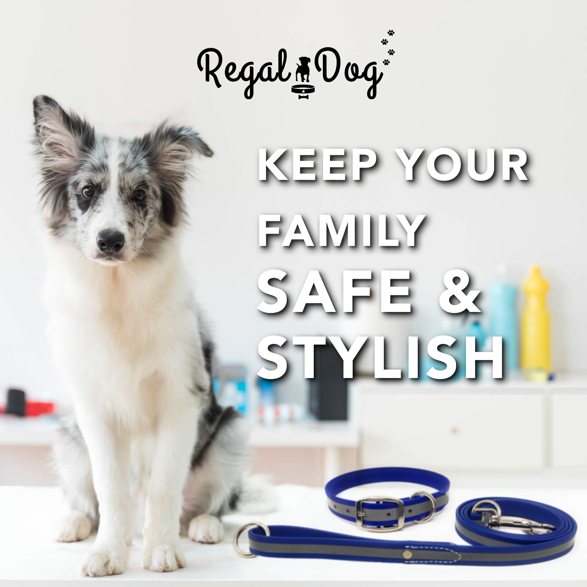 Regal Dog Products Large Blue Reflective Dog Collar And Leash Set - Waterproof Biothane Dog Collar With Heavy Duty Double Buckle