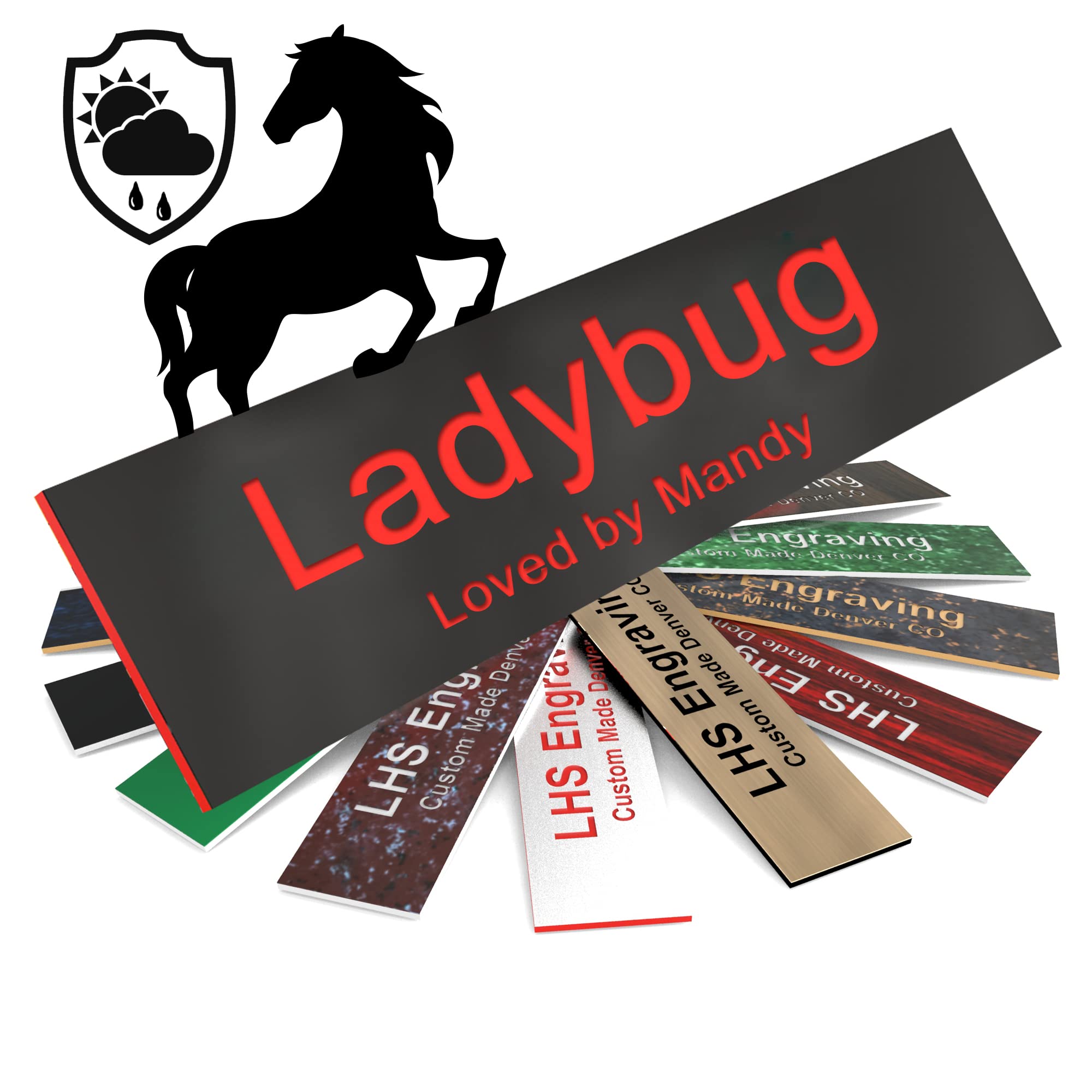 Lhs | Horse Stall Name Plate, 2X6 Personalized Stall Signs, Uv Protected, All Weather Adhesive, Hanging, Mounting Or Other, Plas