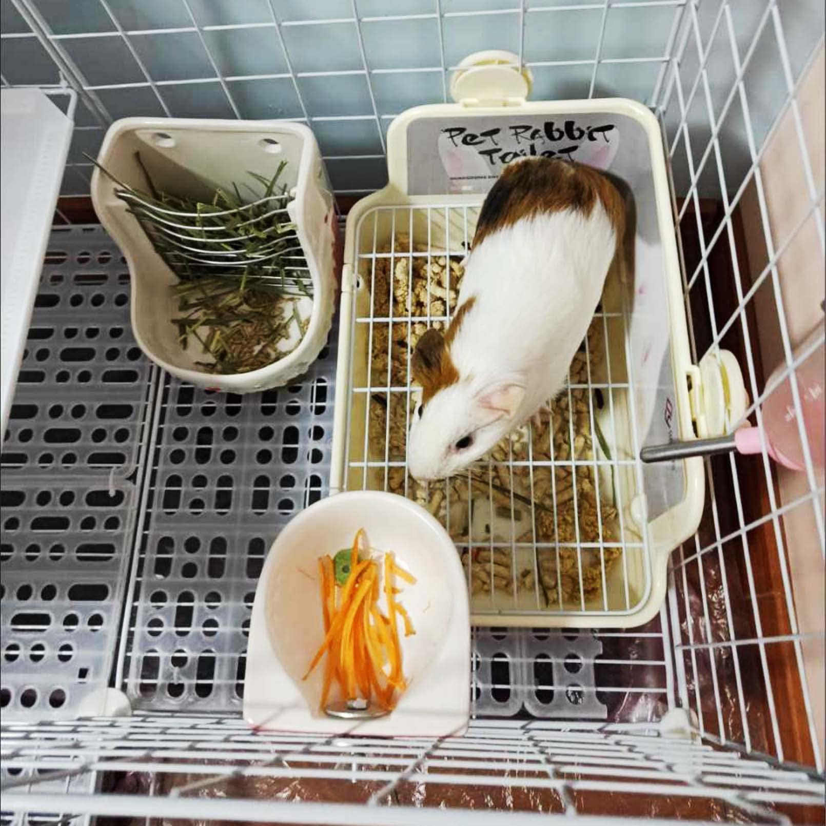 Tfwadmx Rabbit Litter Box Bunny Corner Litter Pan Pet Bedding Litter Box With Grate Small Animal Toilet Potty Trainer For Rabbit Bunny Chinchilla Guinea Pig Ferret (White)