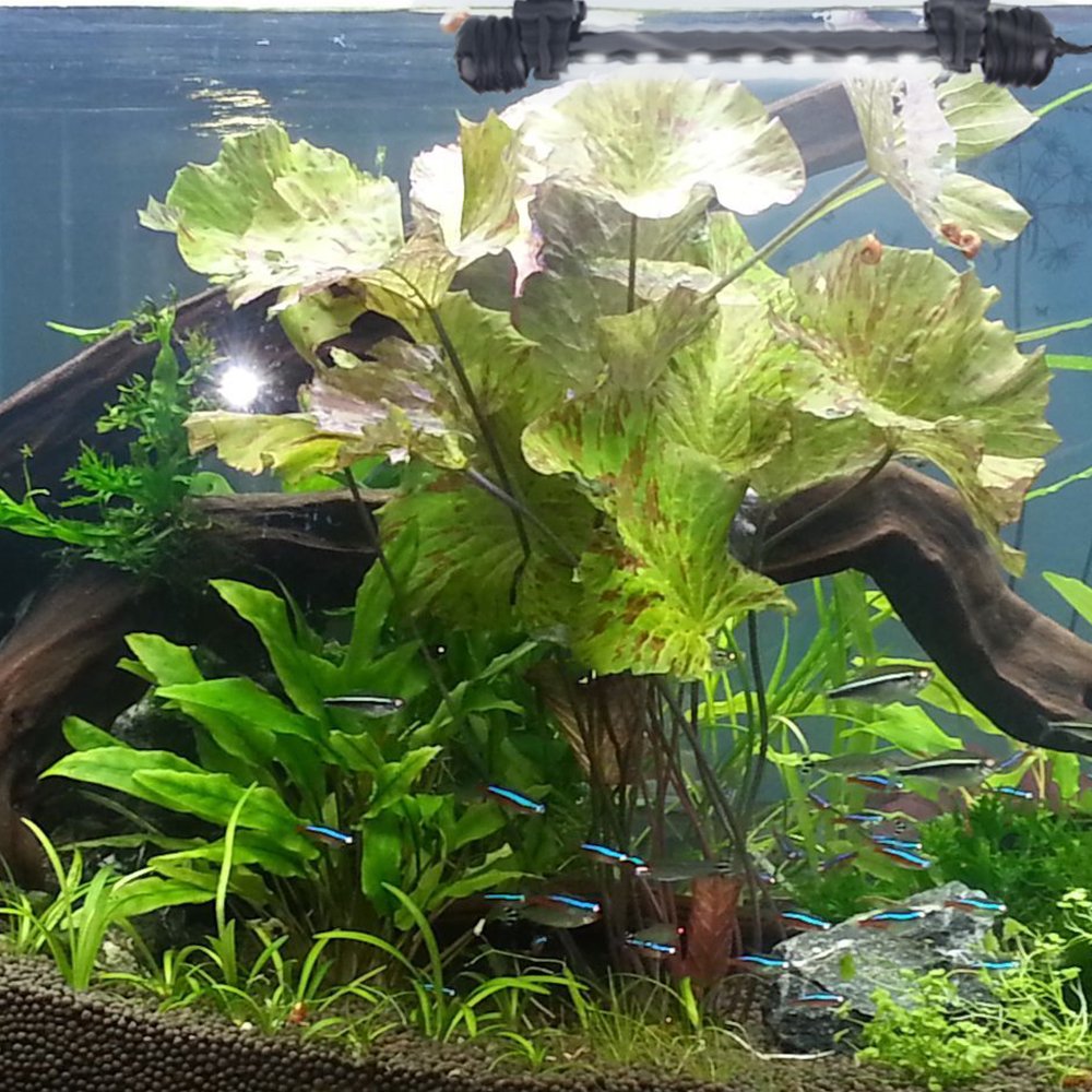 Led Aquarium Light, Smiful Fish Tank Light Submersible Underwater Crystal Glass Leds Lights, 7.5'- White