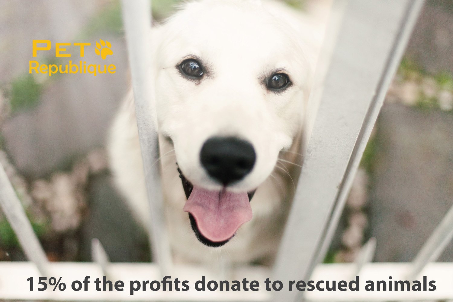 Pet Republique Dog Dematting Tool - Matt Splitters For Dogs, Cats, Rabbits, Long Haired Breed Pets - Effective Pet Dematting, Mat Remover, De-Matting Comb, Or Dematter - Regular 12+23 Teeth Design