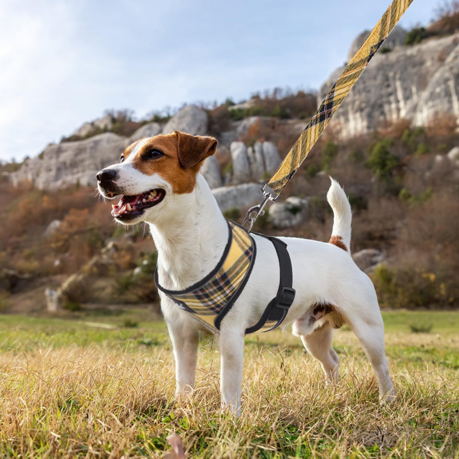 Pupteck Soft Mesh Dog Harness And Leash Set Pet Puppy Cat Comfort Padded Vest No Pull Harnesses, Yellow, Xs