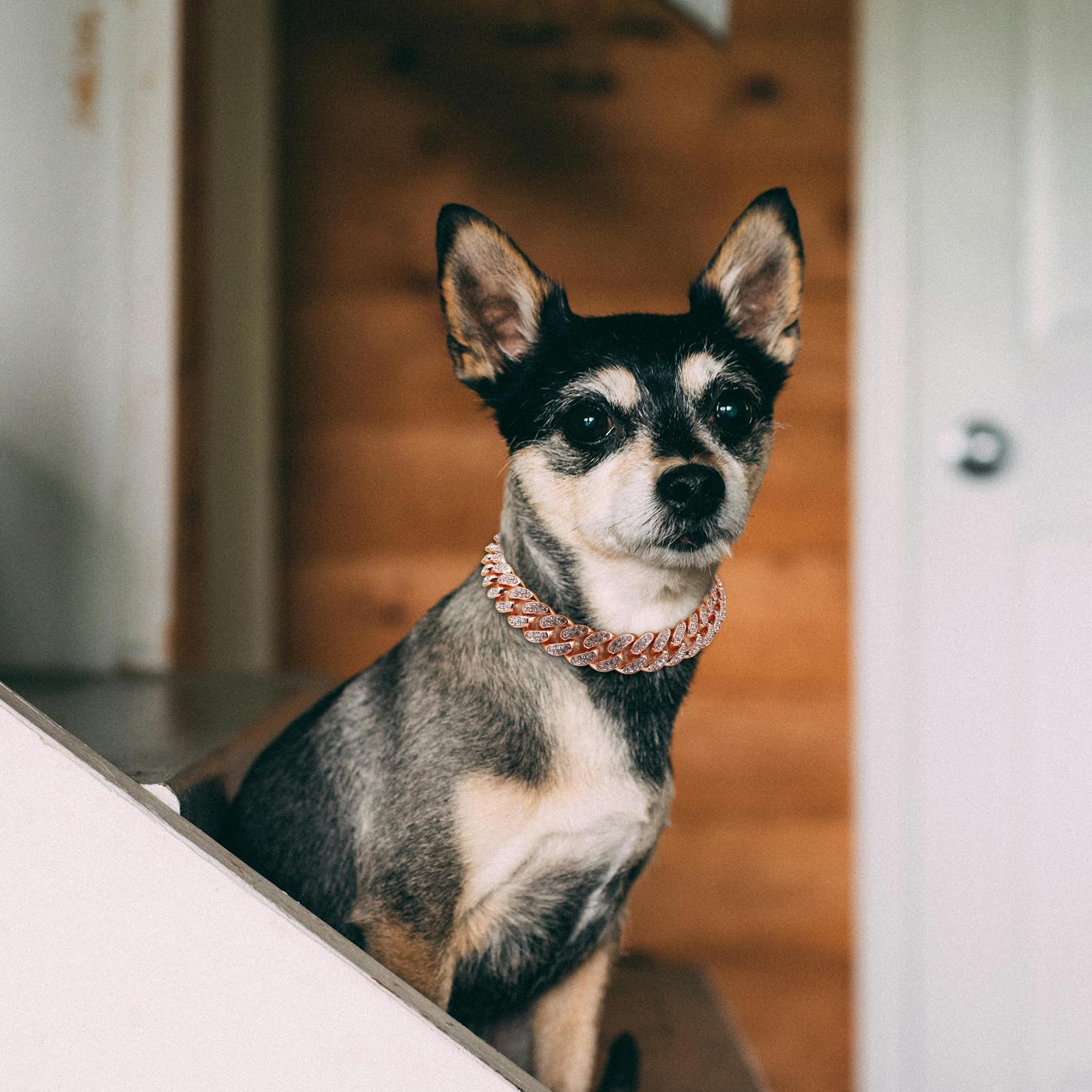 Cuban Dog Chain Collars, Rose Gold Crystal Pet Necklace, Metal Pet Necklace With Safety Buckle Lock, For Small Medium Large Dogs