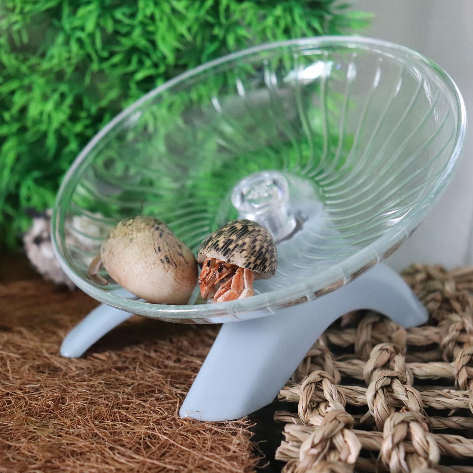 Hermit Crabs Wheel Toy, Hamster Running Wheel Toys, Small Animals Cage Accessory, Tank Accessory, Suitable for Hermit Crab Hamst