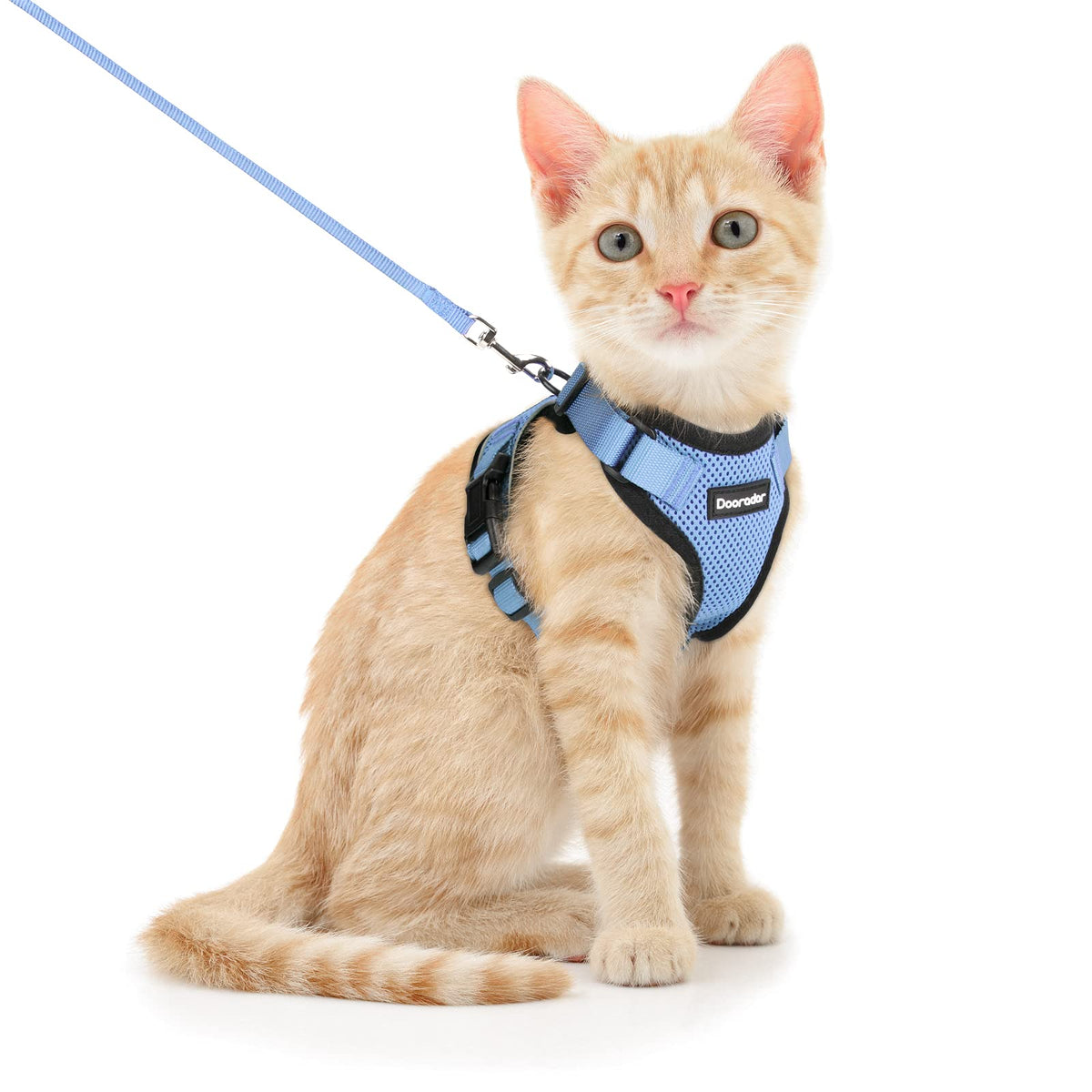 Dooradar Cat Harness And Leash Set, Escape Proof Safe Adjustable Kitten Vest Harnesses For Walking, Easy Control Soft Breathable Mesh Jacket With Reflective Strips For Cats,Light Blue, Xs