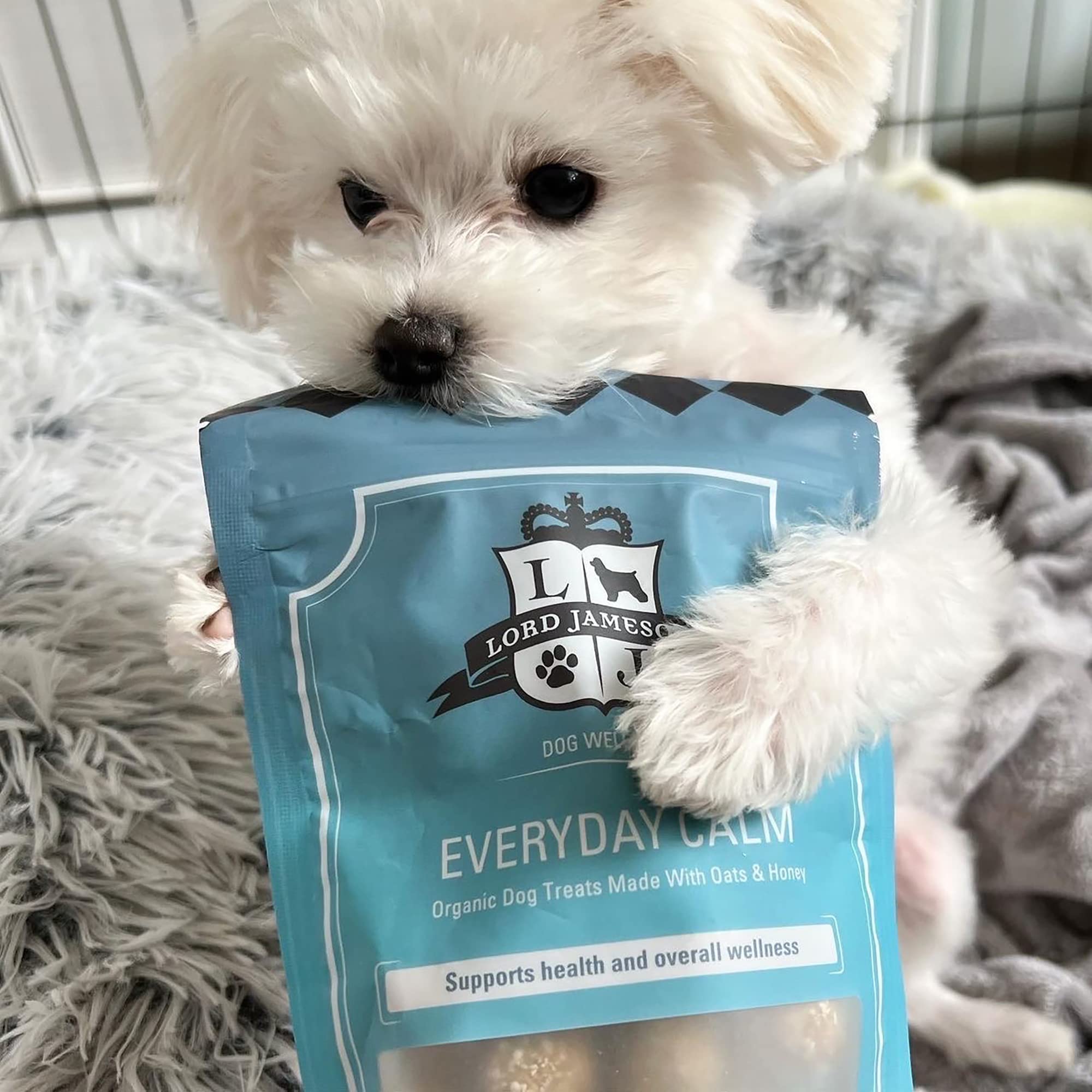 Lord Jameson Dog Everyday Calm 6Oz