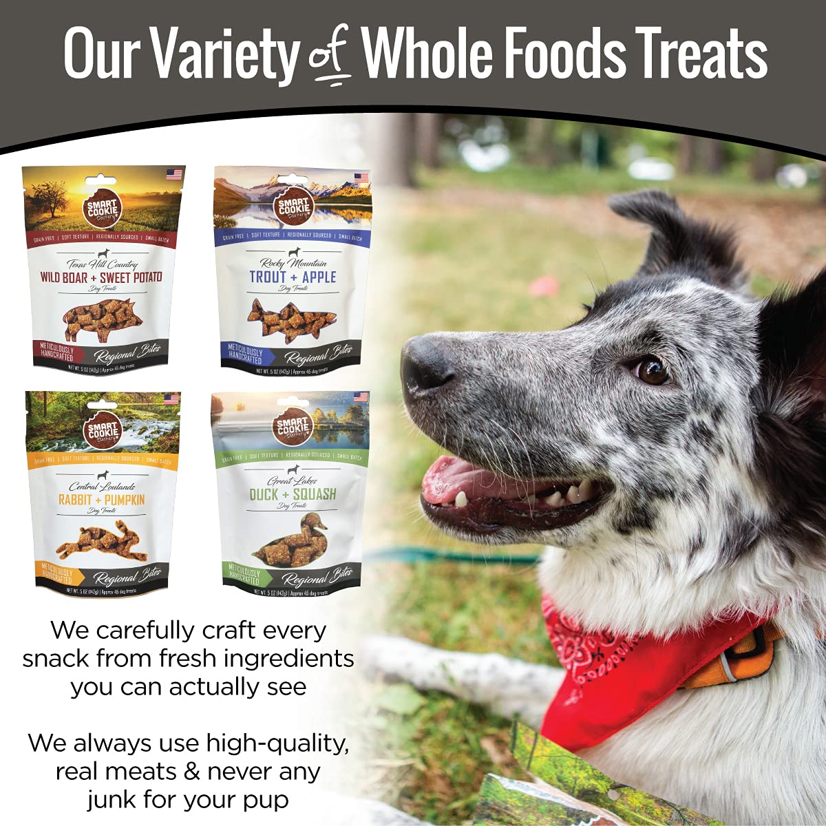 Smart Cookie All Natural Soft Dog Treats - 4 Flavor Variety Pack (5oz Each) - Healthy Dog Treats for Dogs & Puppies with Allergi