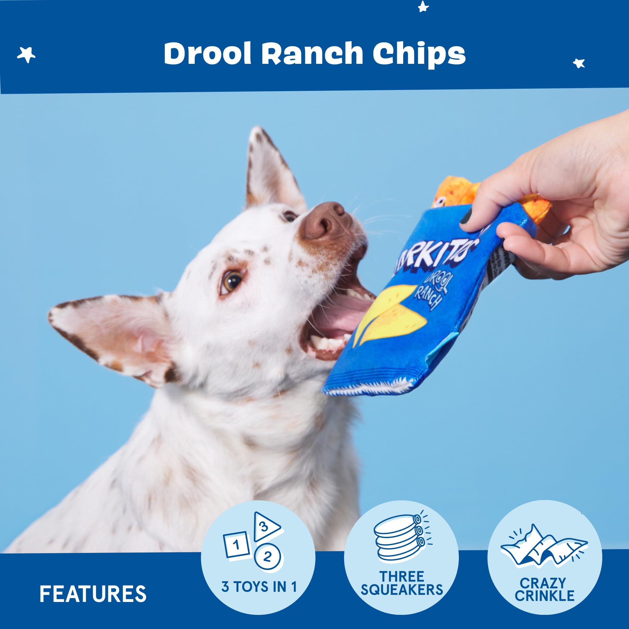 Barkbox Bark Drool Ranch Chips Holiday Plush Dog Toy | Squeaky Fun For Medium Dogs