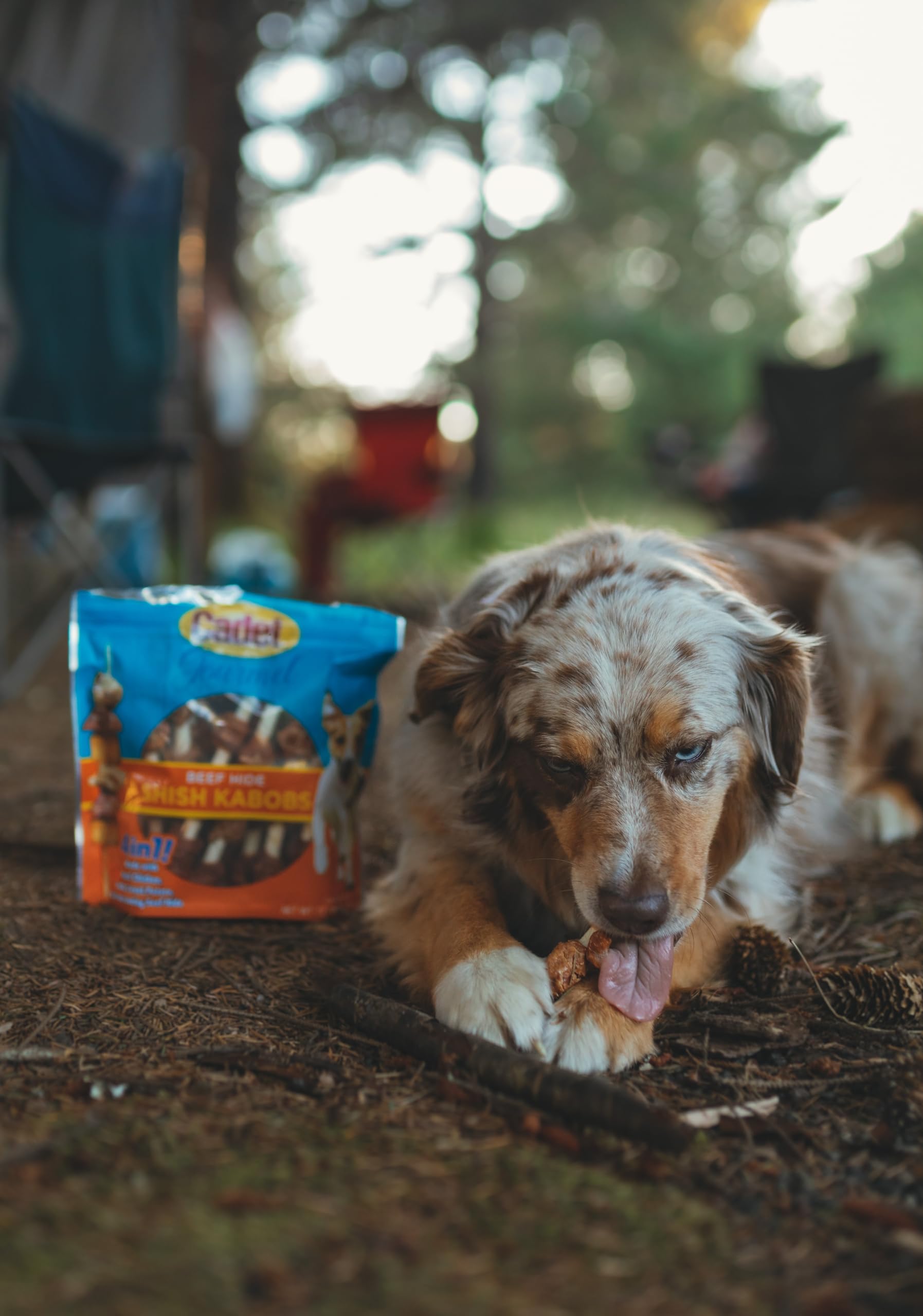 Cadet Gourmet Shish Kabob Dog Chews for Small Dogs, Rawhide Treats with Chicken, Duck and Sweet Potato, Healthy & Natural Beef H