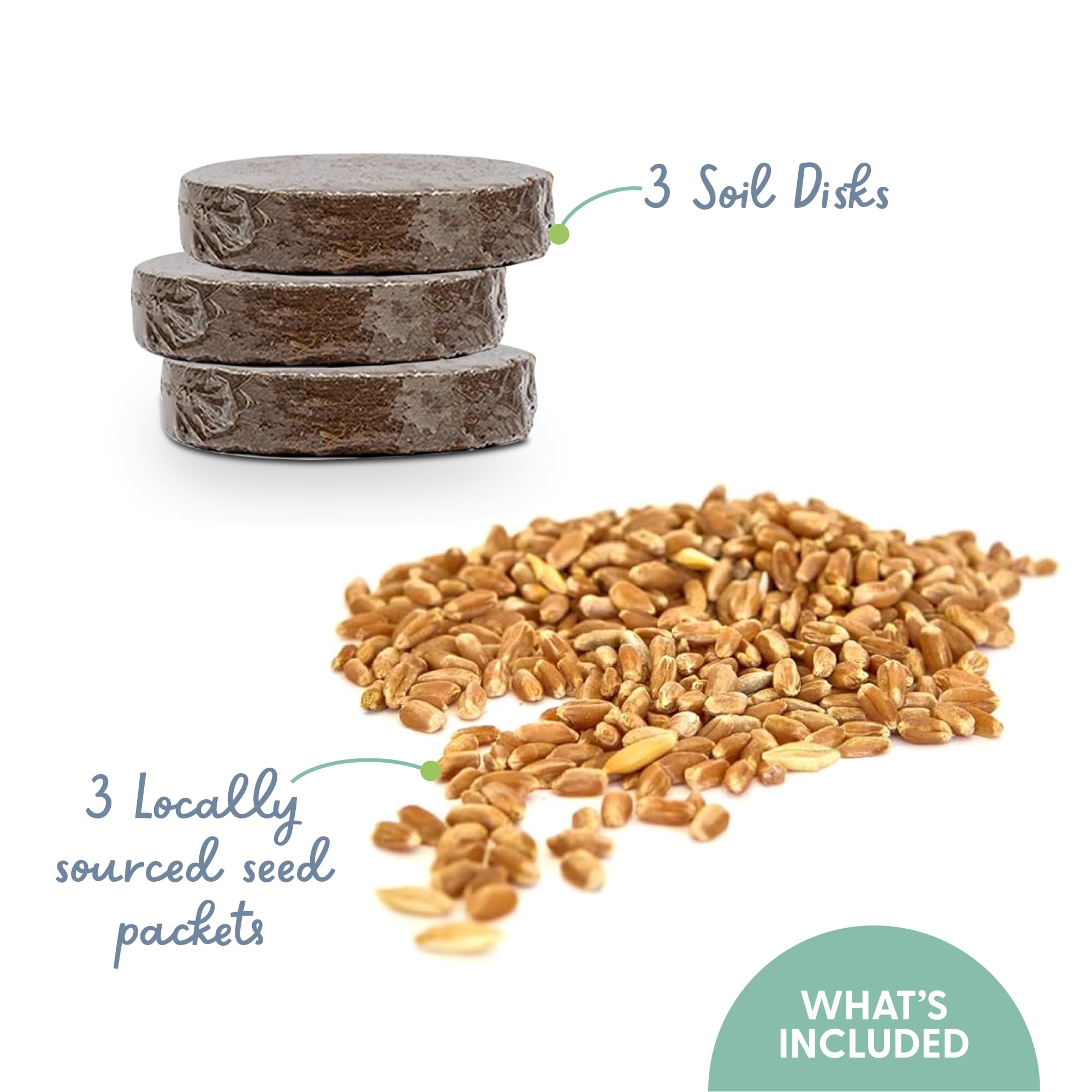 The Cat Ladies Cat Grass Refill Kit 100% Organic 3 Pack