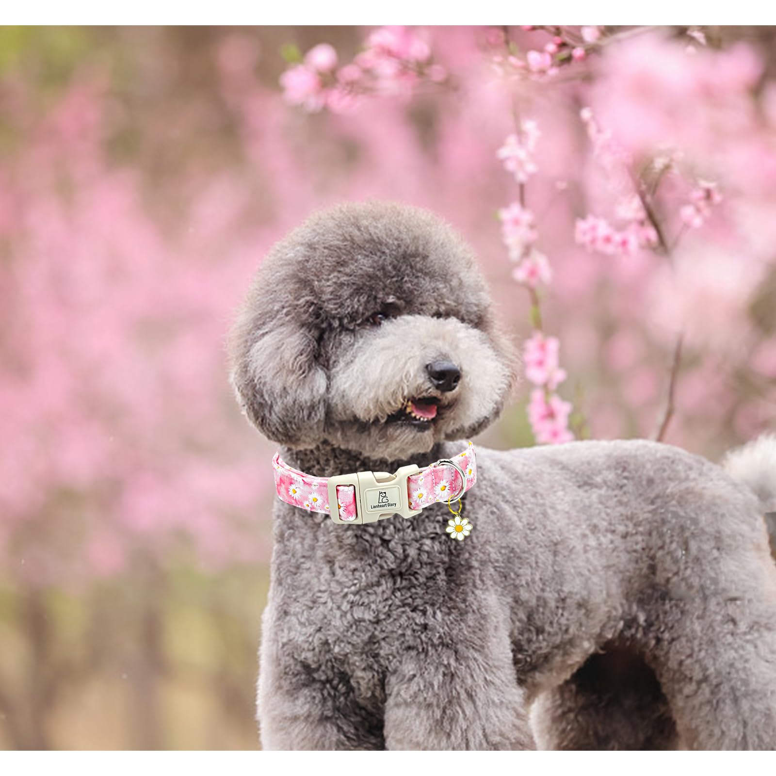 Lionheart Glory Dog Collar-Pink Floral Pattern Dog Collar Cute Flower Dog Collars Female Heavy Duty Adjustable Collars For Large