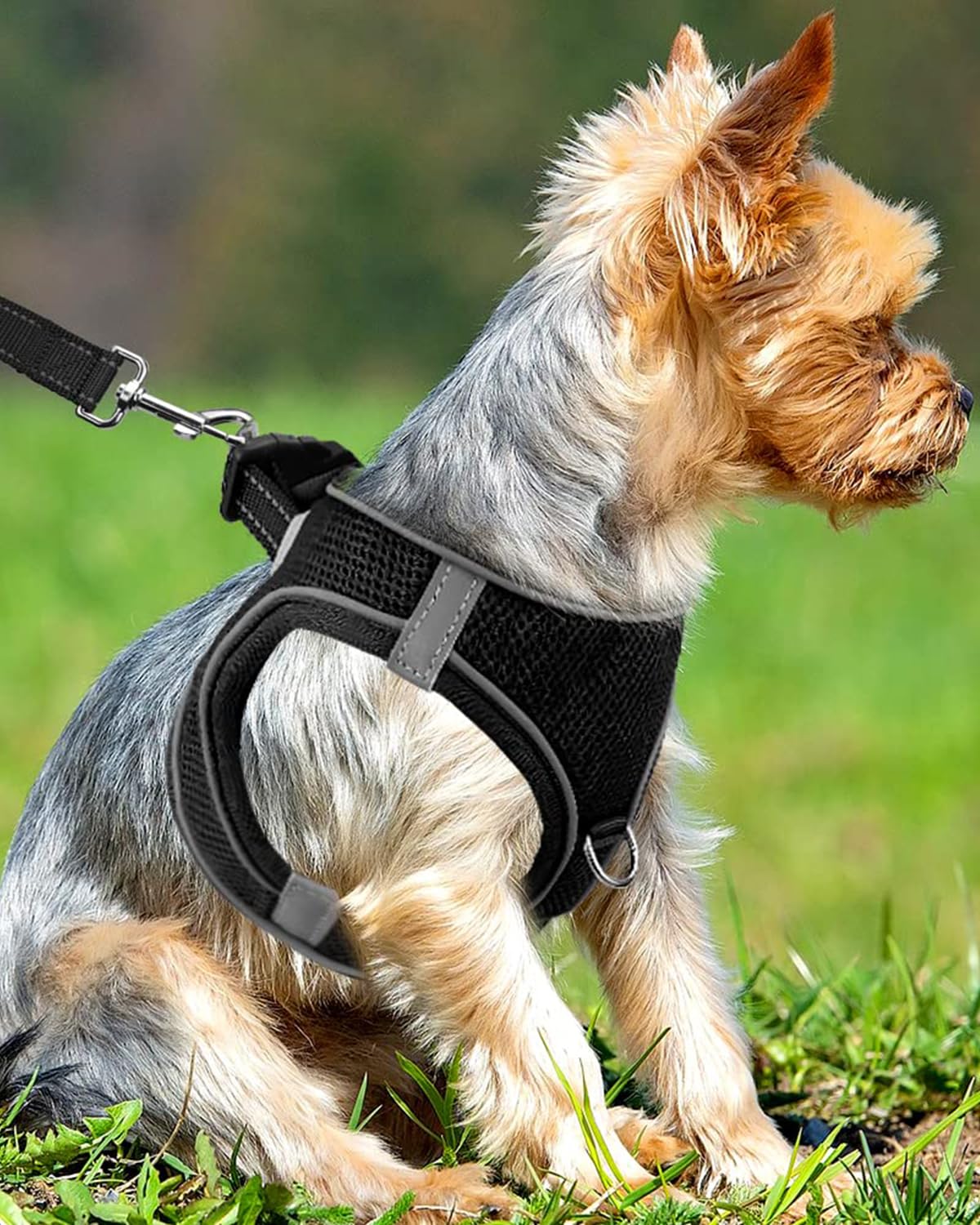 Joytale Step In Dog Harness,12 Colors,Breathable Mesh Vest Harness,Reflective Soft Padded Harnesses For Extra Small And Small Do