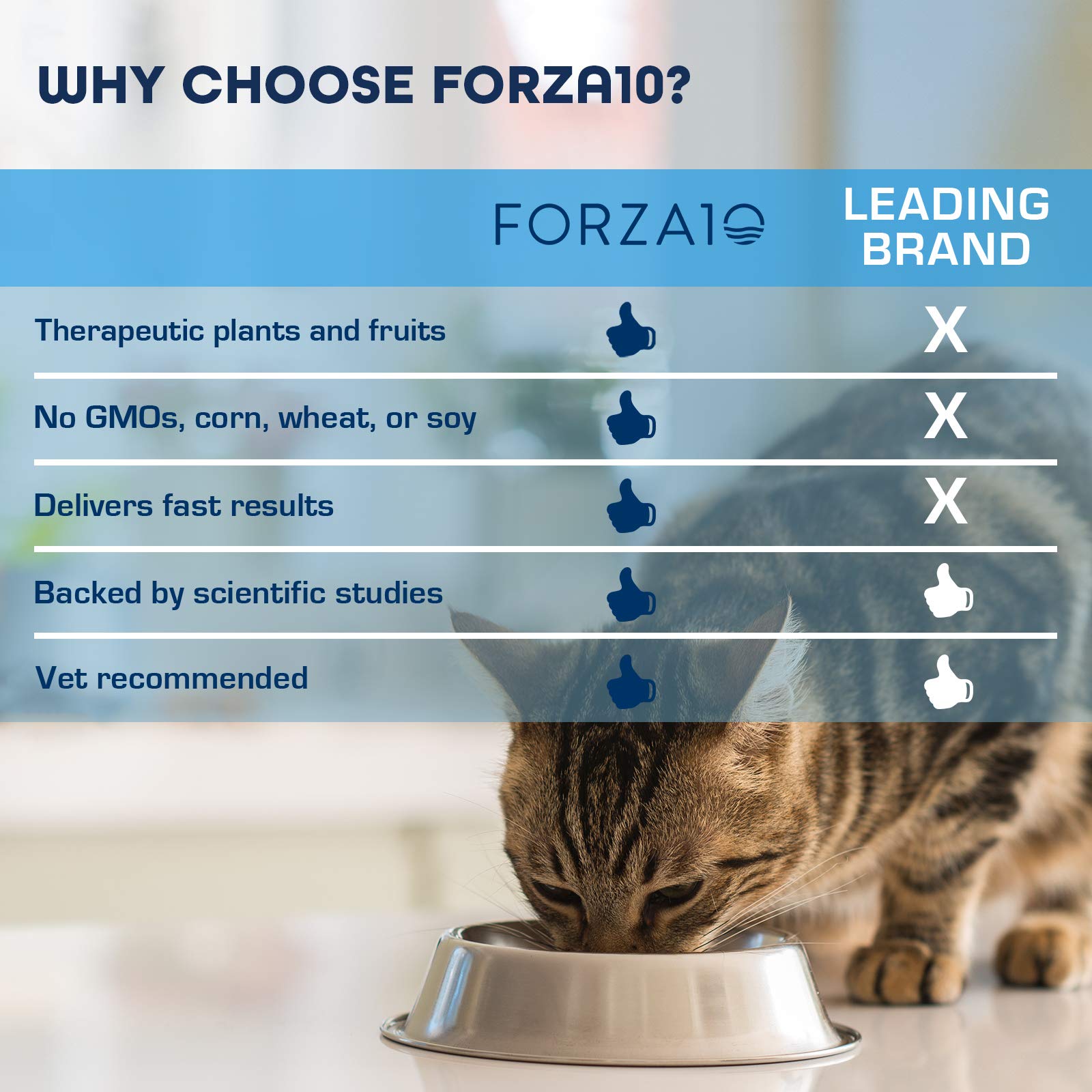Forza10 Active Urinary Dry Cat Food, Cat Food Dry for Adult Cats, Helps Improve Urinary Tract and Urinary Issues, Fish Flavor Ca