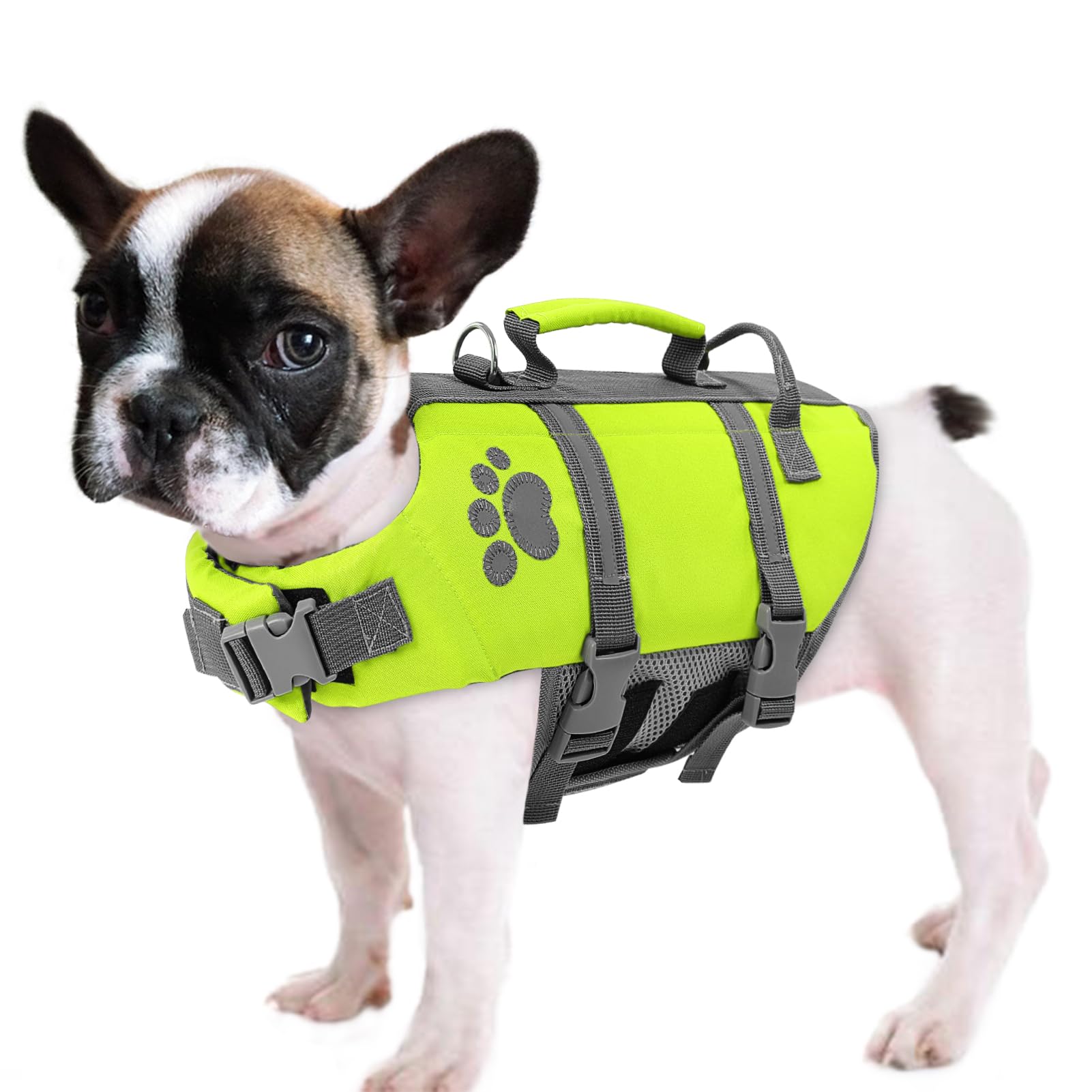 Queenmore Xs Dog Life Jacket, Puppy Life Jackets For Small Dogs, Small Doggie Life Vest For Swimming, Lightweight Extra Small Do