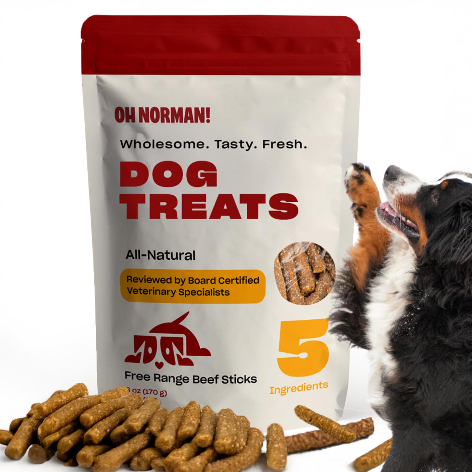 OH NORMAN! Soft Beef Jerky Dog Treats by Kaley Cuoco, Healthy Dog Treats, All Life Stages and Breeds, Air Dried, Ethically Sourc