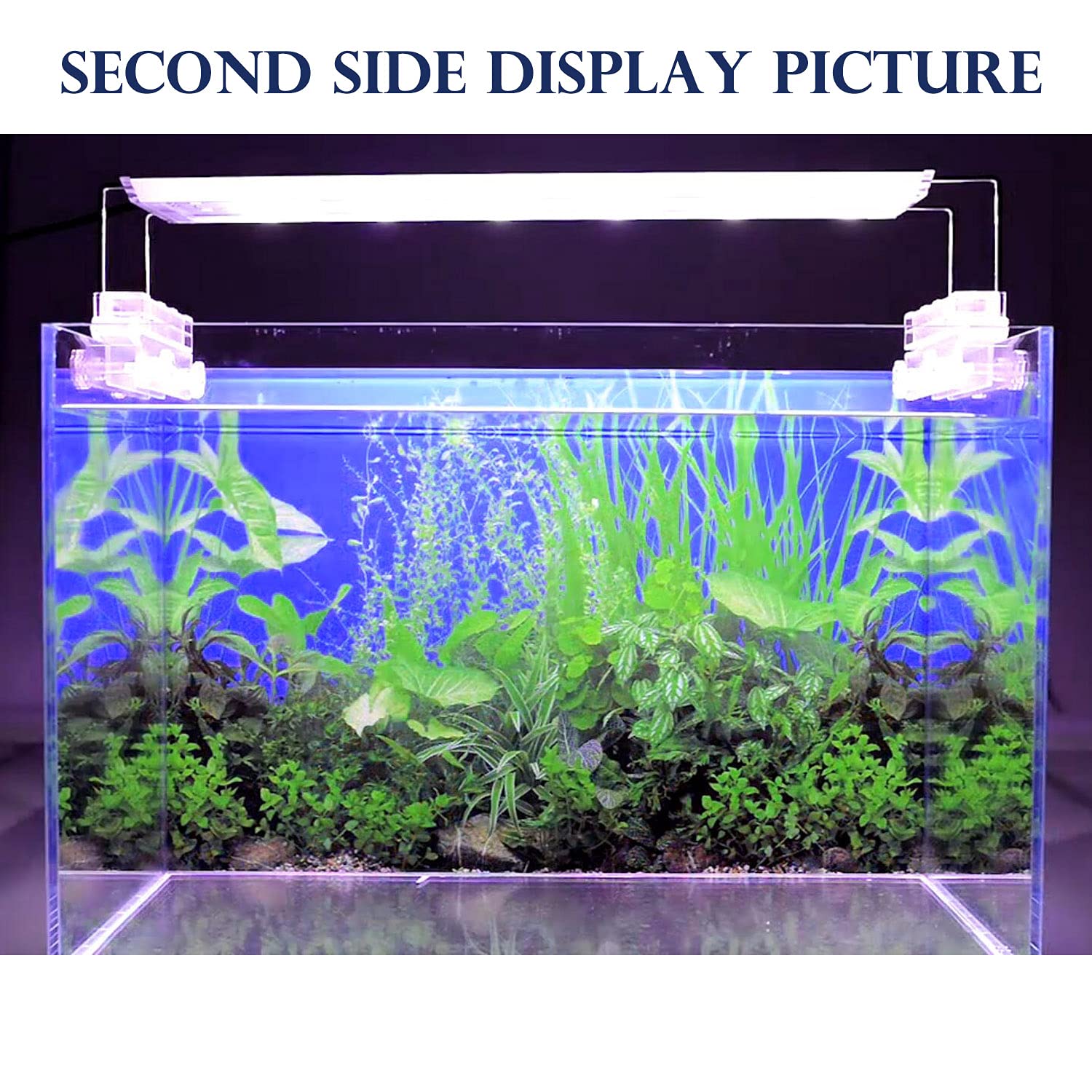 ELEBOX New 23 x 71 Fish Tank Background Paper Wallpaper 2 Sided Colorful Seaweed Water Plants Aquarium Background Picture