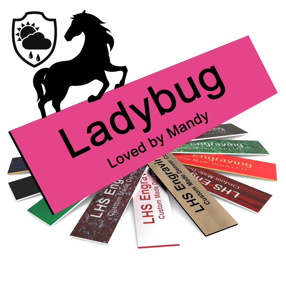 Lhs | Personalized Horse Stall Name Plates, 2X10 Horse Stall Signs With Adhesive, All Weather Uv Protected, Pink Plastic Black L