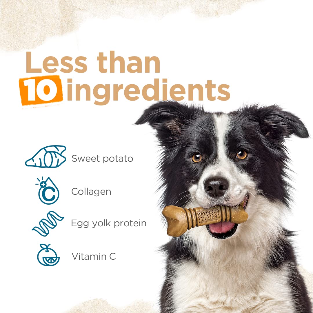 Natural Farm All-Natural Dog Dental Chew, Dog Teeth Cleaning Treats - Fresh Breath, Fight Plaque & Tartar - Canine Mess-Free Ora