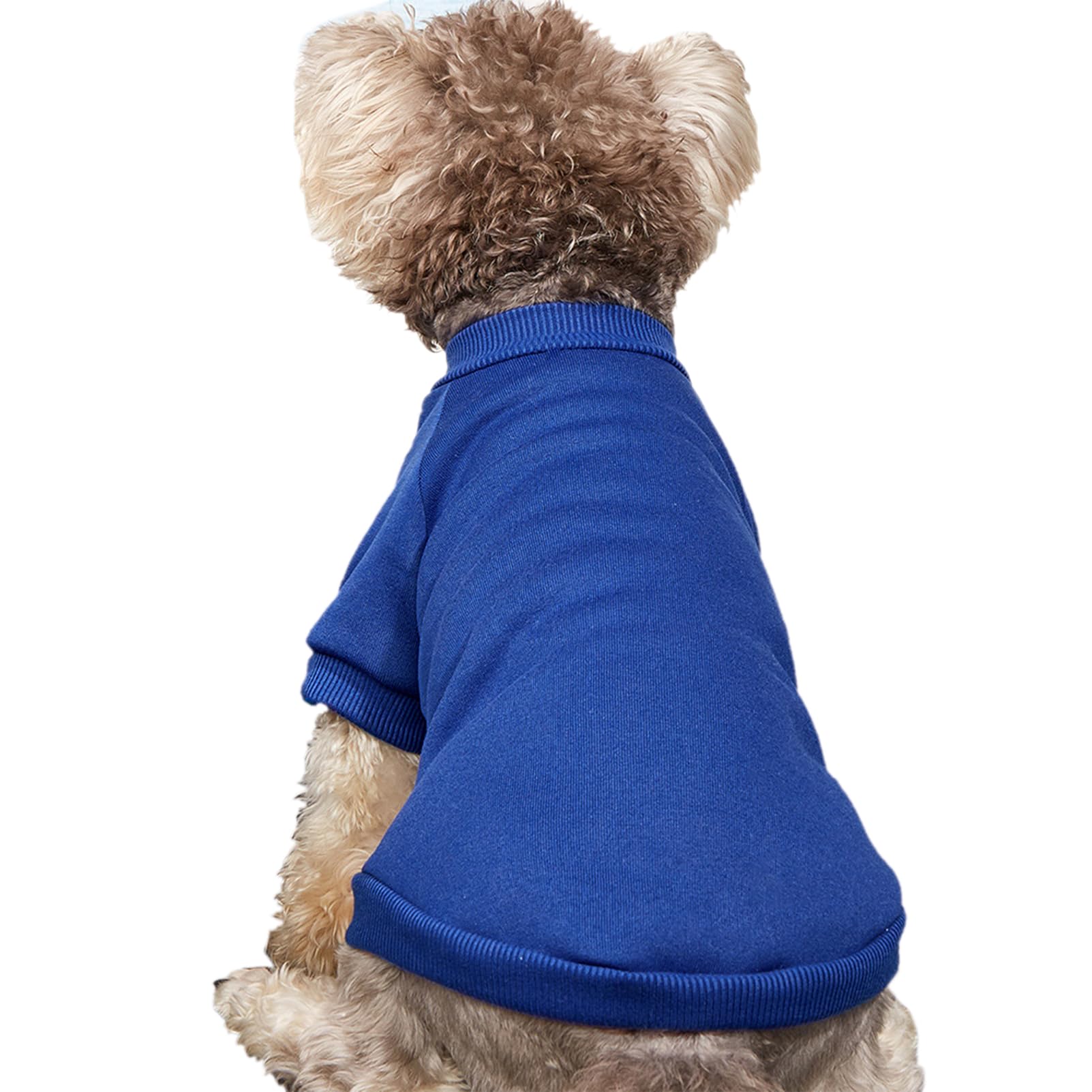 Jouhoi Puppy Sweater For Small Dogs Clothes Warm Winter Cat Clothe Pet Sweatshirt Knitwear Doggie Kitten Clothing, Blue, Xx-Smal