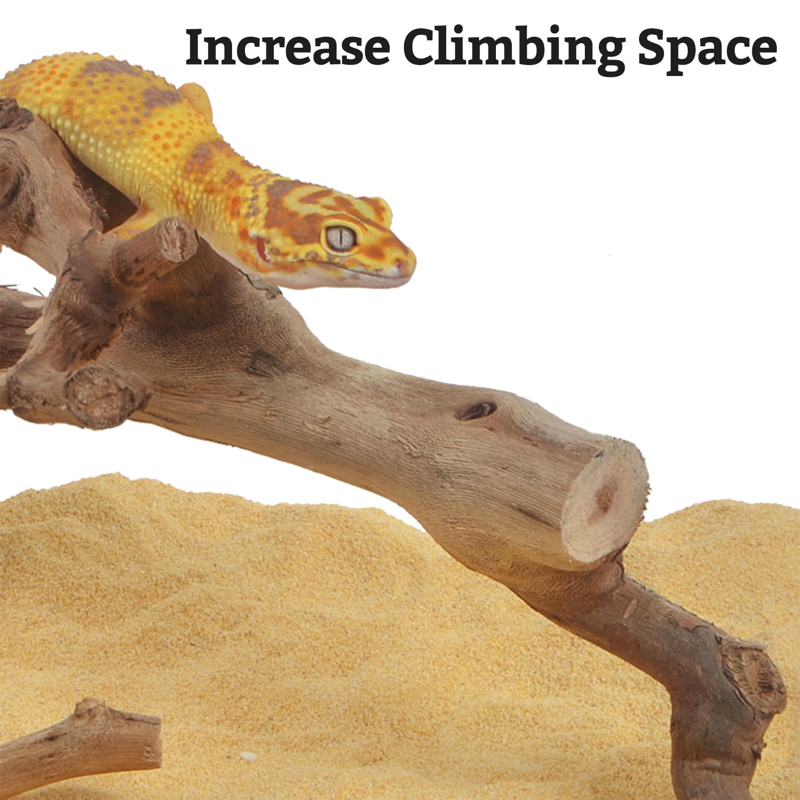 VCEPJH Snake Climbing Branch, 2Pcs Reptile Wood Natural Cork Log Tank Accessories Tree Trunk for Chameleon Bearded Dragon Gecko