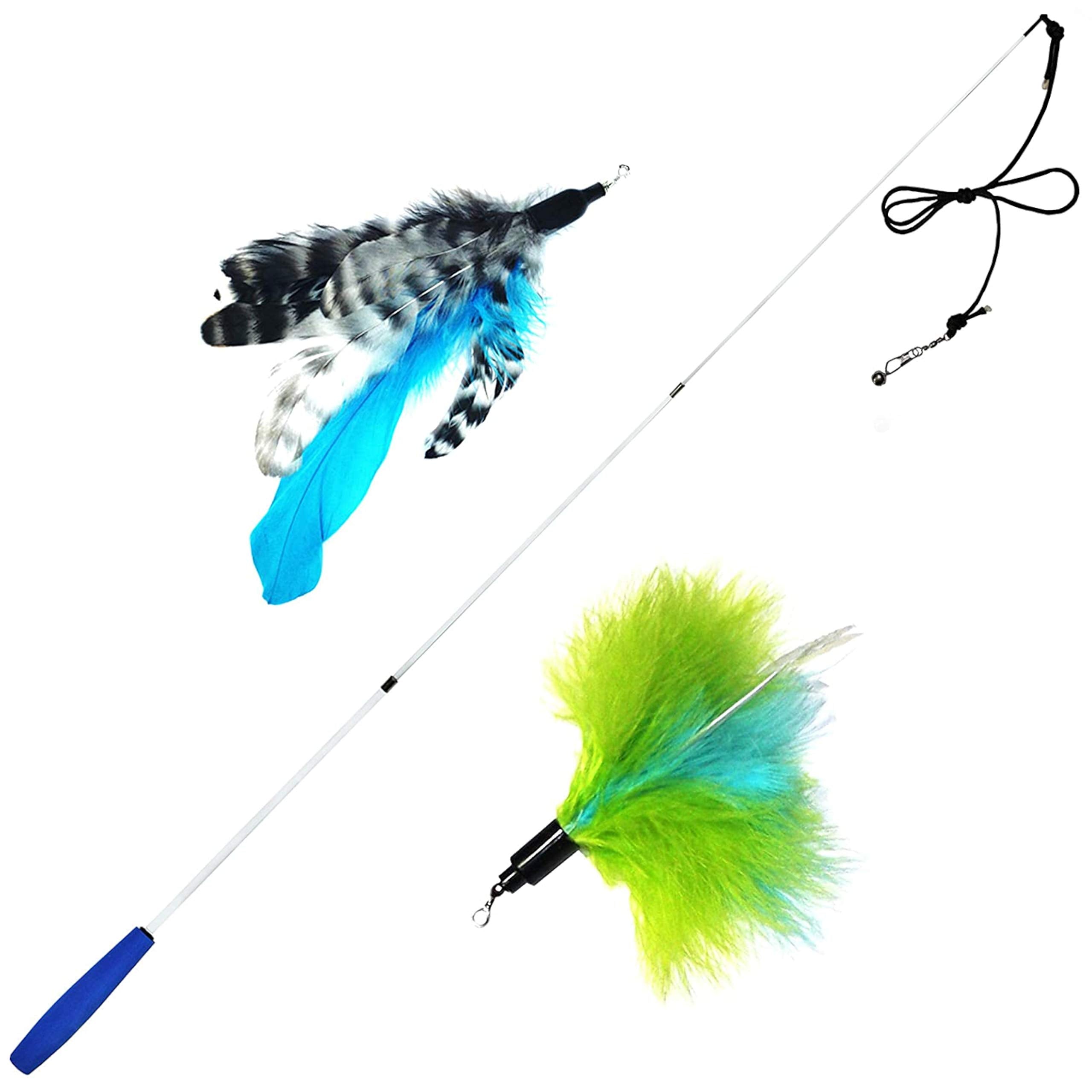 Pet Fit For Life - Retractable Feather Wand For Cats - Durable Interactive Cat Toy, Teaser Fishing Pole With Feather Lures - Fun Kitten Play Wand, 2 Feathers With String Attachment