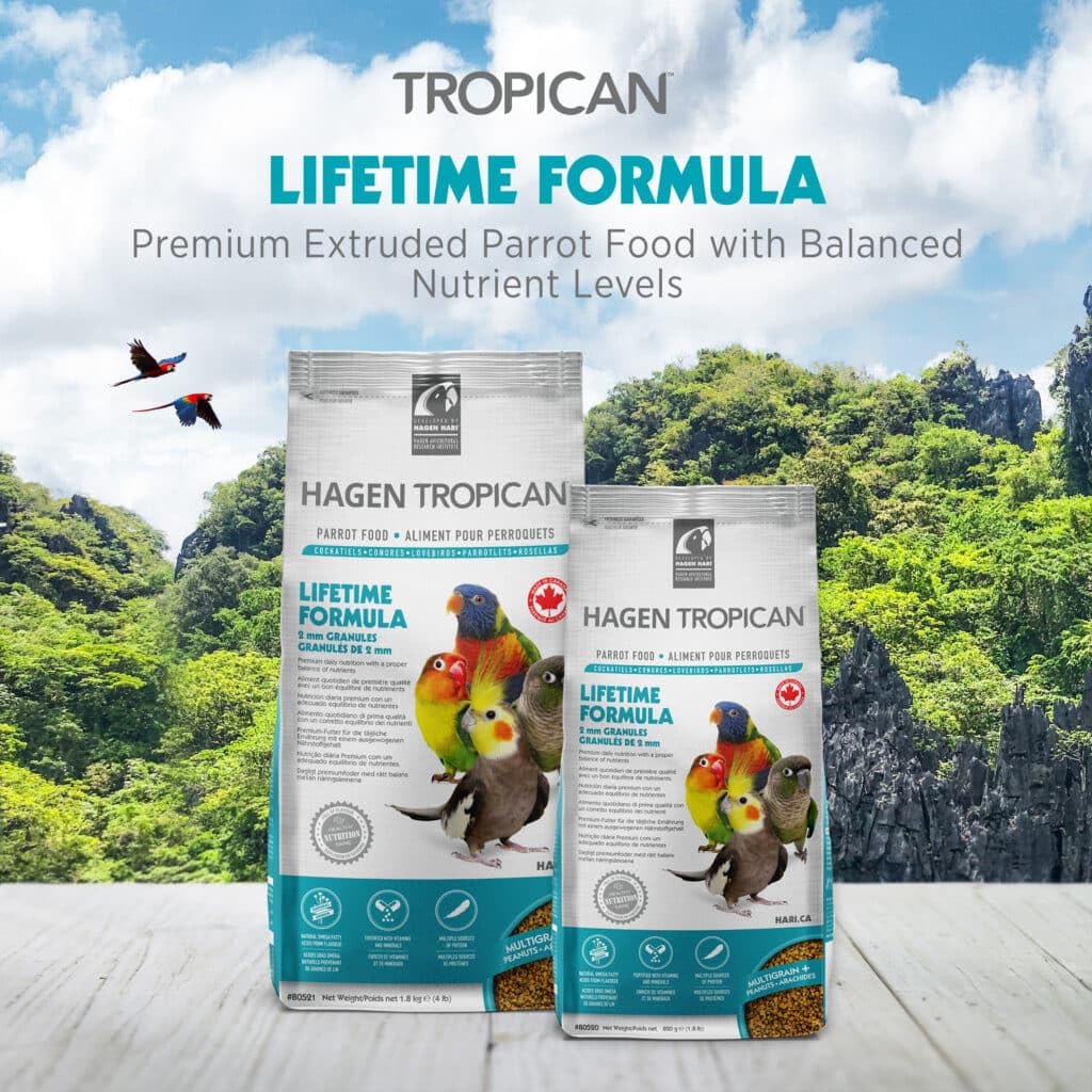 HARI Tropican Bird Food, Hagen Parrot Food with Peanuts & Sunflower Seeds, Maintenance Parrot Granules 2 mm, Lifetime Formula, 1
