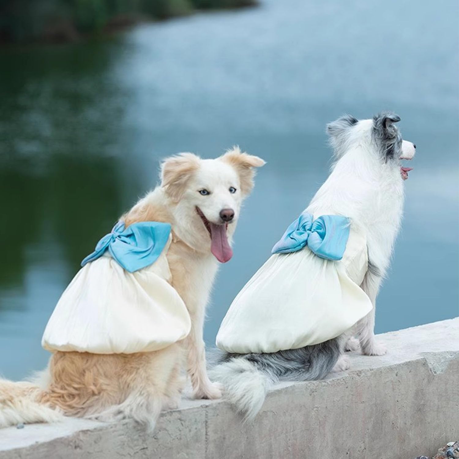 Fladorepetlarge Dog Princess Dress,Pet Christmas Holiday Wedding Princess Dress Costume Outfits For Extra Large Dogs Girl,Soft S