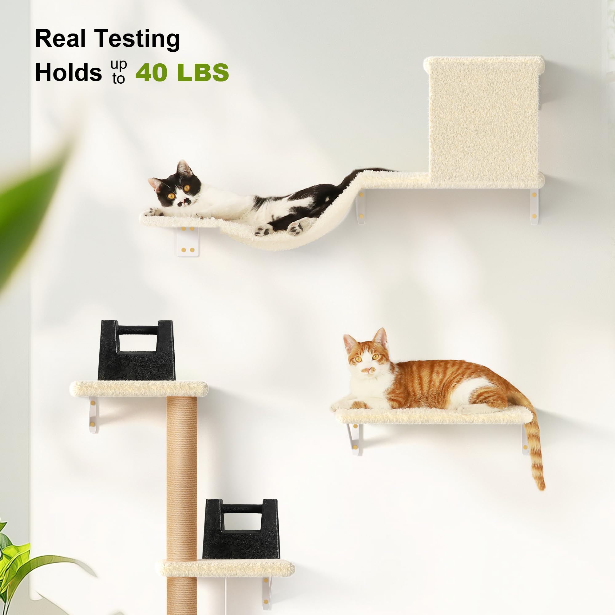 Fukumaru Cat Wall Shelves, Stable & Safe 4 In 1 Large Cat Walls Furniture Set, Wooden Kitten Climbing Wall With Scratching Post