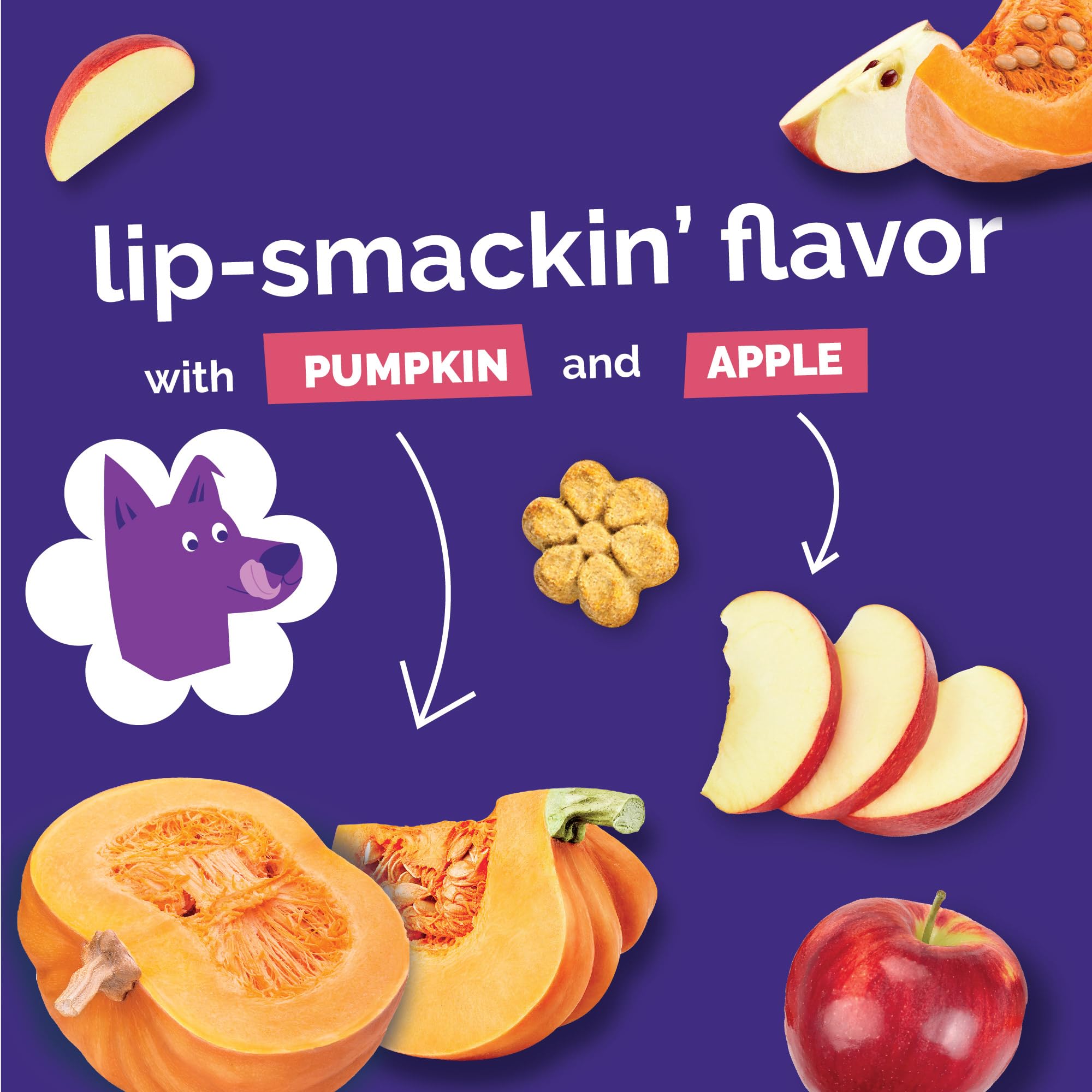 Fruitables Baked Pumpkin Dog Treats - Healthy Low-Calorie, Wheat-Free, Corn-Free, Soy-Free - Sweet Potato Training Treats for Do
