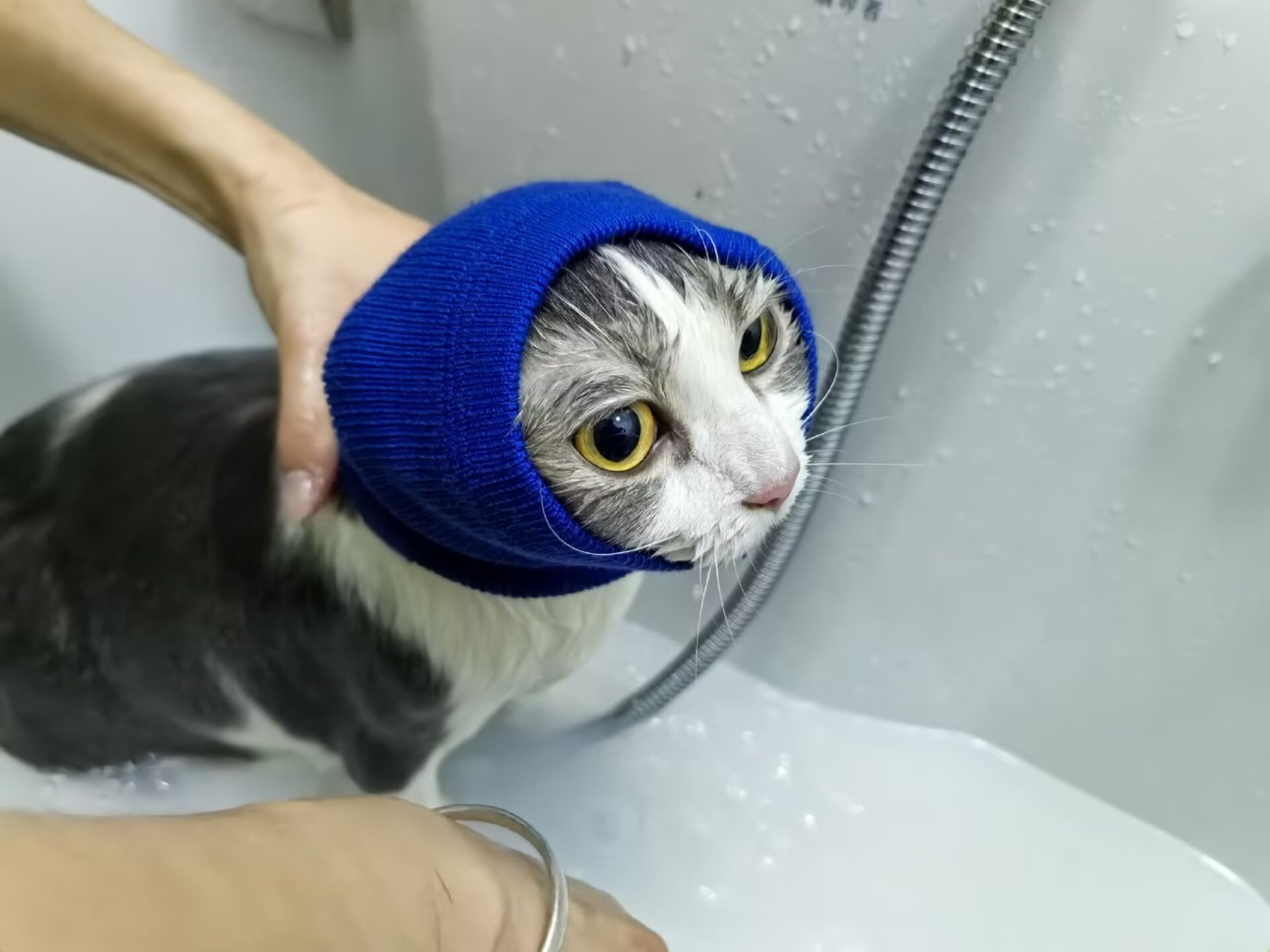 Ddfs Cat Head Cover Ear Wrap Pinpoint Mesh Neck Cowl Cat Grooming Headband Snood For Cat Purple+Blue S