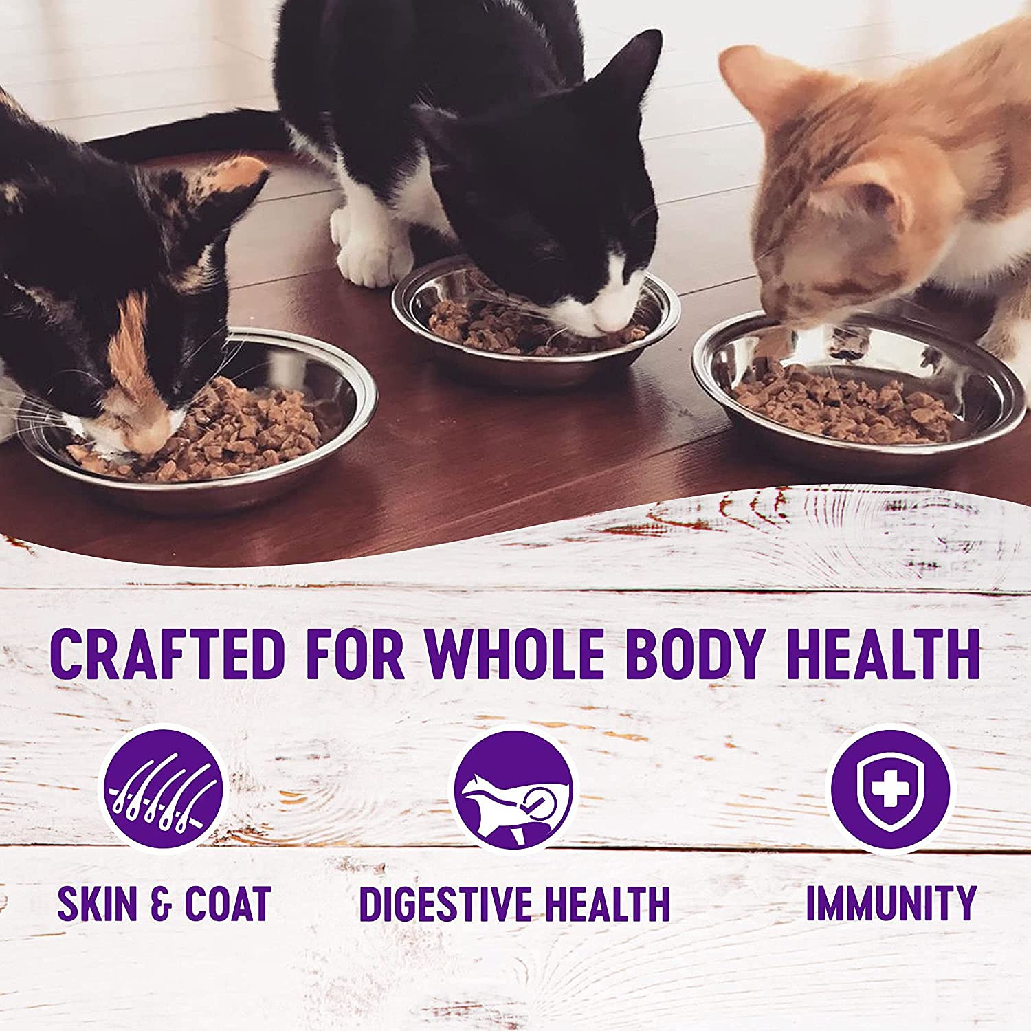 Wellness Natural Premium Canned Cat Wet Food Pate - 12 Pack Cans Variety Bundle Pack 4 Flavor - (Chicken,Beef, Salmon & Turkey)