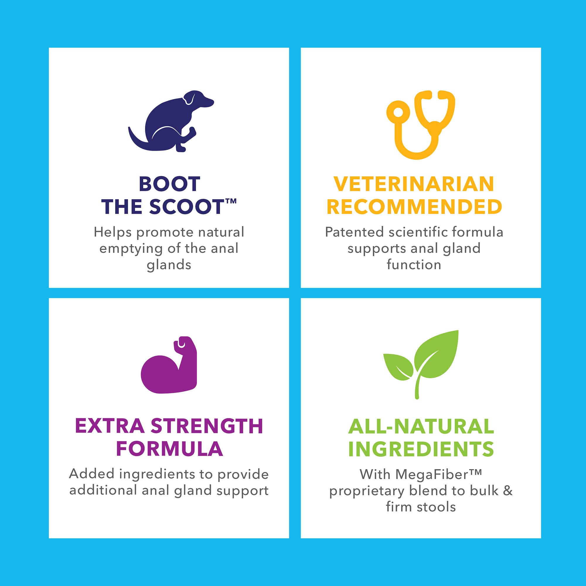 Glandex Anal Gland Soft Chew Treats with Pumpkin for Dogs Digestive Enzymes, Probiotics Fiber Supplement for Dogs Boot The Scoot