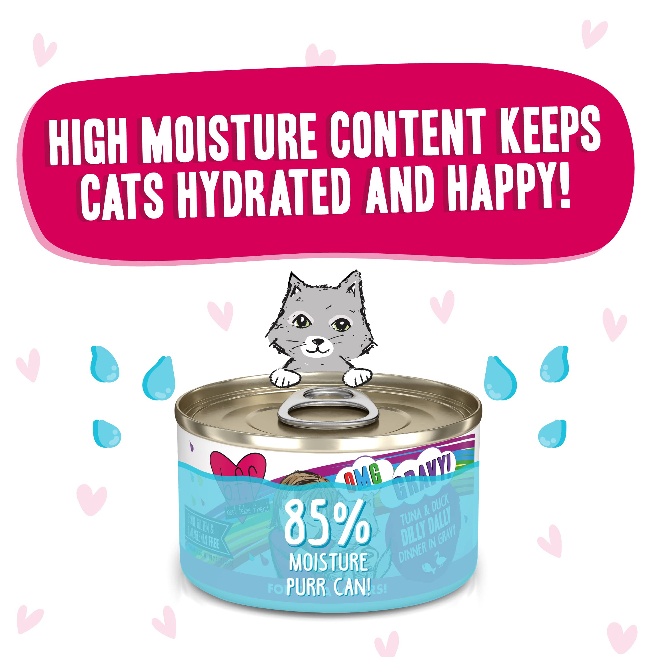 B.F.F. OMG - Best Feline Friend Oh My Gravy!, Tuna & Duck Dilly Dally with Tuna & Duck, 2.8oz Can (Pack of 12)