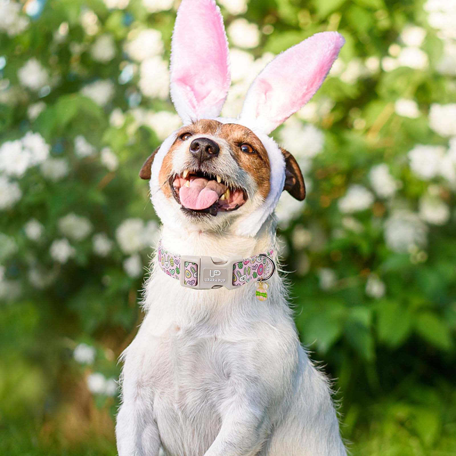 Up Urara Pup Easter Bunny Dog Collar,Cotton Easter Eggs Dog Collar For Girl Boy Puppys,Cute Rabbit Pet Collar With Quick Release