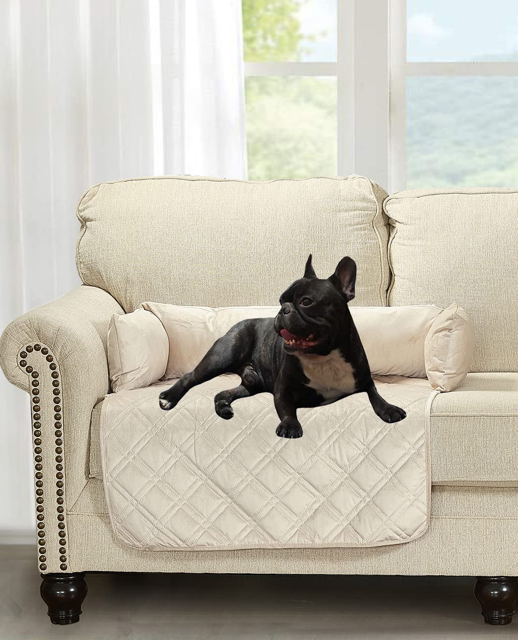 Brilliant Sunshine Beige Natural Velvet Dog Sofa Slipcover, Medium