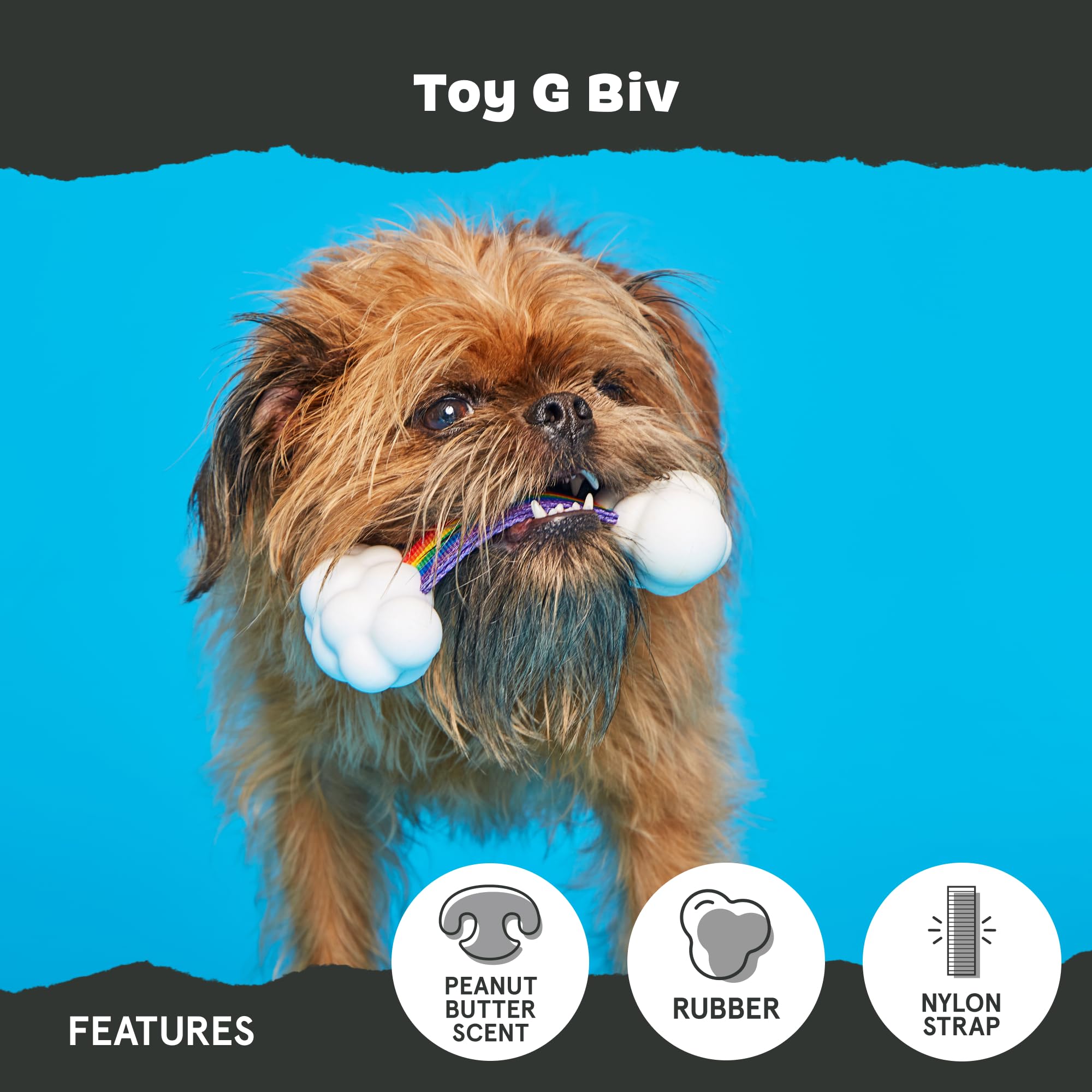 Barkbox Dog Toys - Toy G Biv Rainbow Super Chewer Tug Toy For Aggressive Chewers With Double Reinforced Strap And Tough Rubber C