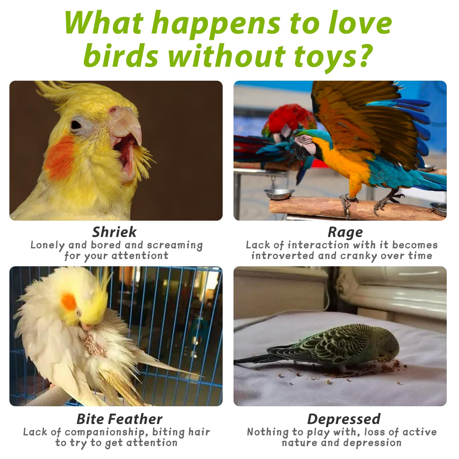 Pinvnby 2 Pack Parrot Toys Chewing Bird Toy Cuttlebone Beak Grinding Stone Cage Hanging Toys With Bell For African Greys Amazon