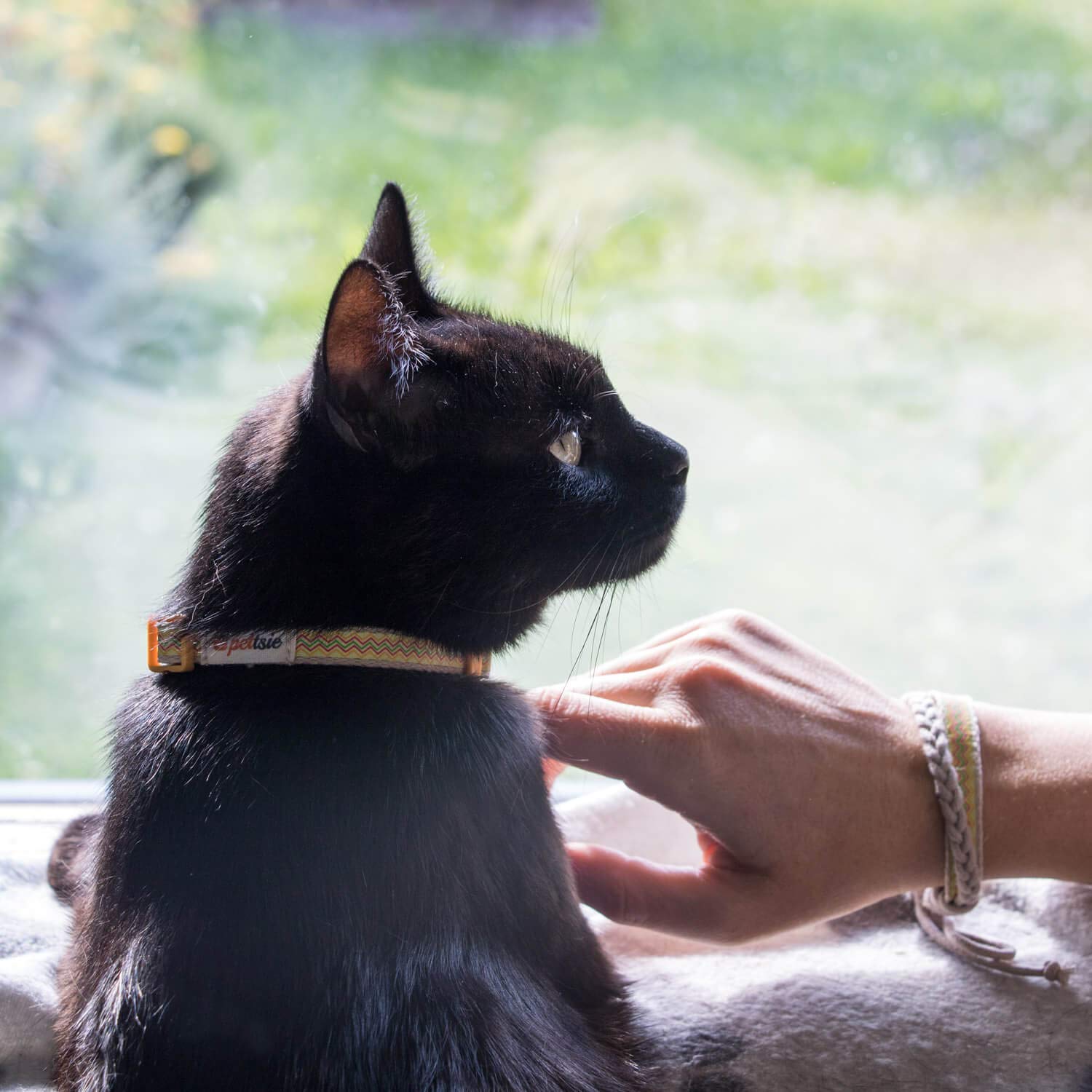 Pettsie Easy Adjustable Cat Collar Set, Safety Breakaway Buckle, Matching Friendship Bracelet, Soft Cotton For Sensitive Skin, Ideal For Kitty Lovers, Fits Neck Sizes 7.5-11.5 Inches, Yellow