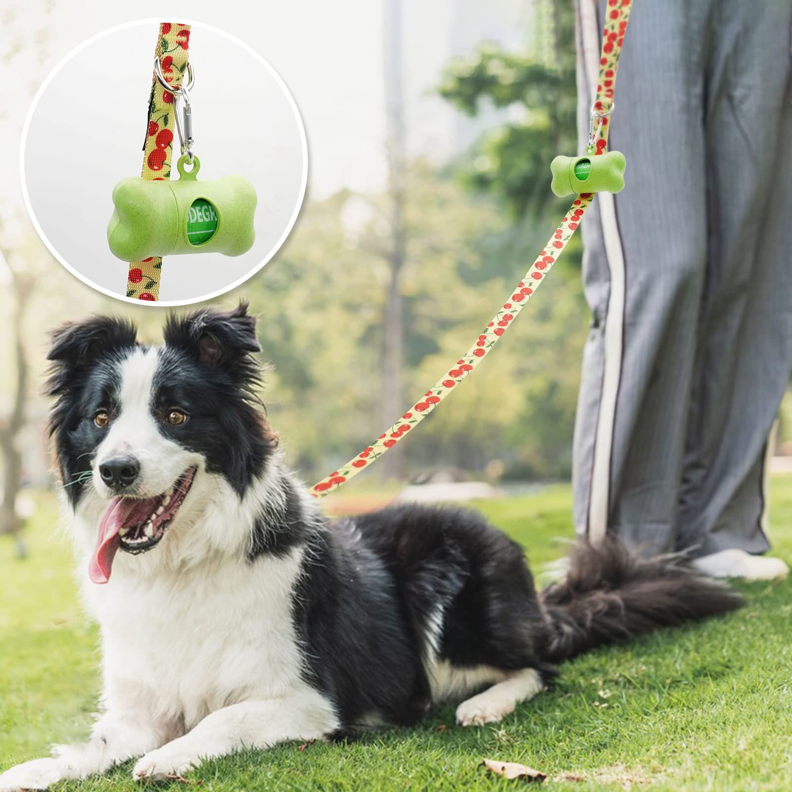 Azuza 3 Pack Fruit Design Nylon Dog Leashes Strong & Durable Basic Dog Leash With Easy To Use Collar Hook For Large Dogs, L (4Ft