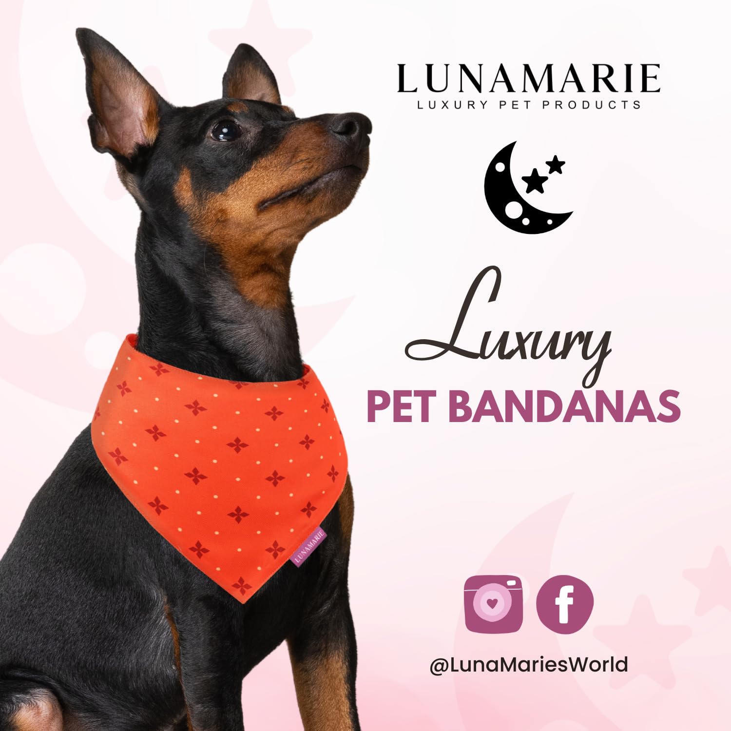 Lunamarie - Luxury Pet Birthday Bandanas -Premium & Silky Poly Fabric | 100% Handmade | Custom Shape Dual Layered (Ember, Large)