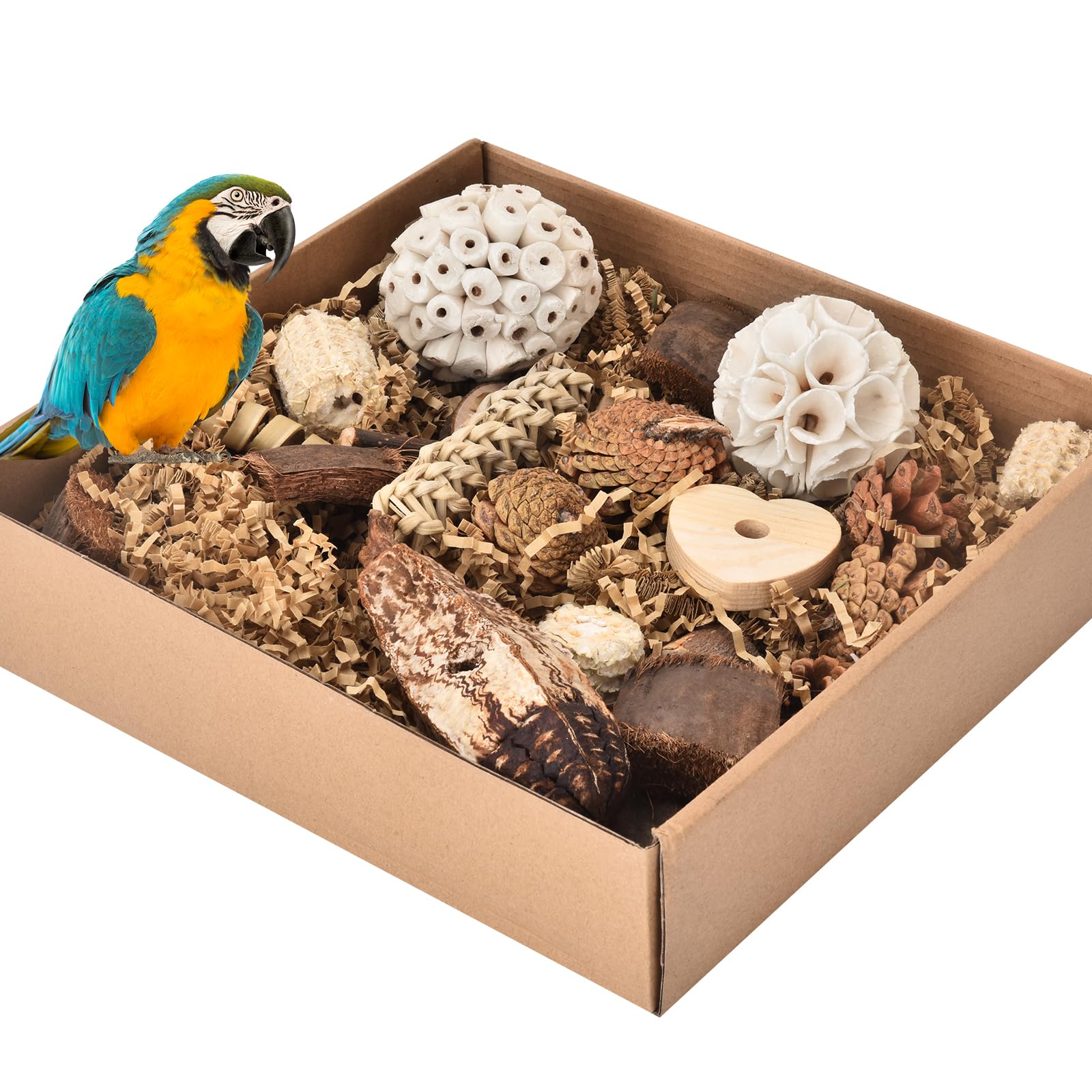Dewvie Natural Bird Toy Foraging Parrot Shredding Toys Box, Bird Chew Foraging Toys For Parrots, Conures, Budgies, Lovebirds, Sm