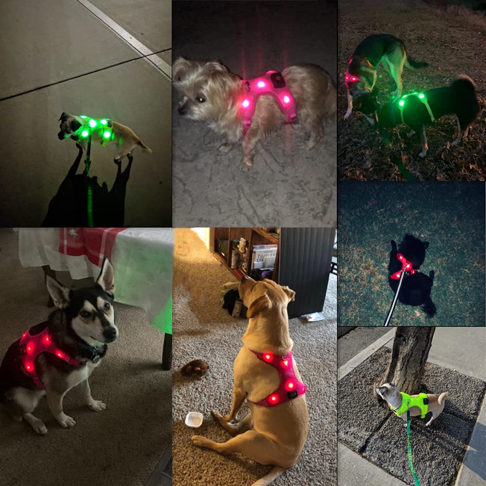 DOMIGLOW Light Up Harness for Dogs, No-Pull LED Dog Harness, USB Rechargeable Glowing Pet LED Vest for Night Walking Camping (Gr