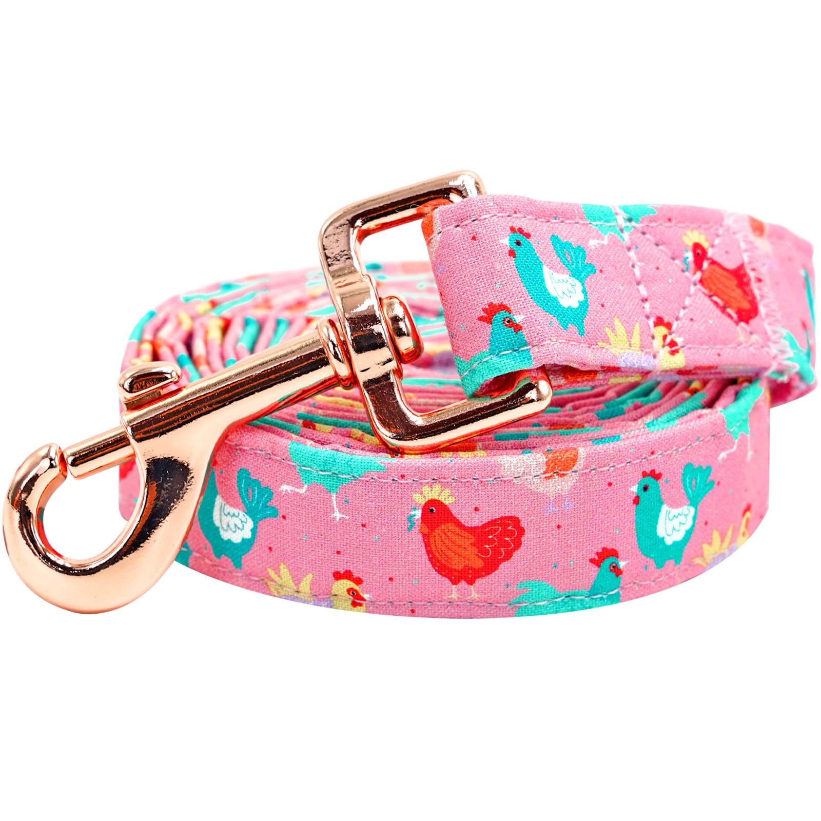 Lionheart Glory Easter Day Strong Dog Leash, Spring Summer Durable Dog Leashes With Soft Handle For Walking Training Small Male 