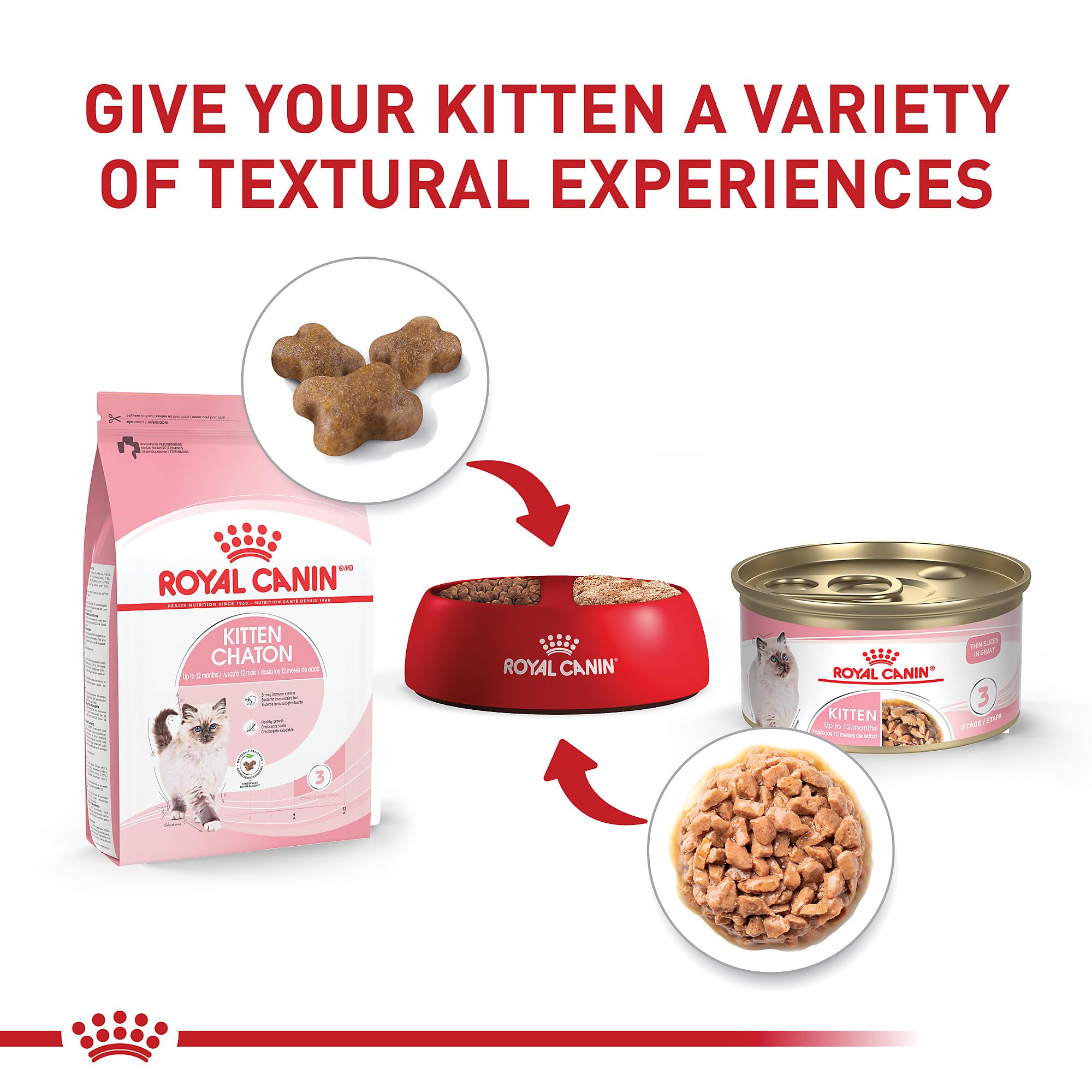 Royal Canin Feline Health Nutrition Kitten Thin Slices in Gravy Canned Cat Food, 3 oz., Count of 24