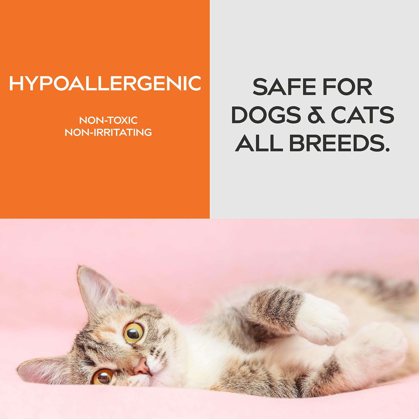 Dynamic Element Unscented Pet Odor Eliminator Spray - Mineral-Based Spray To Tackle Cat Urine, Litter Box, And Bedding Odors - 9