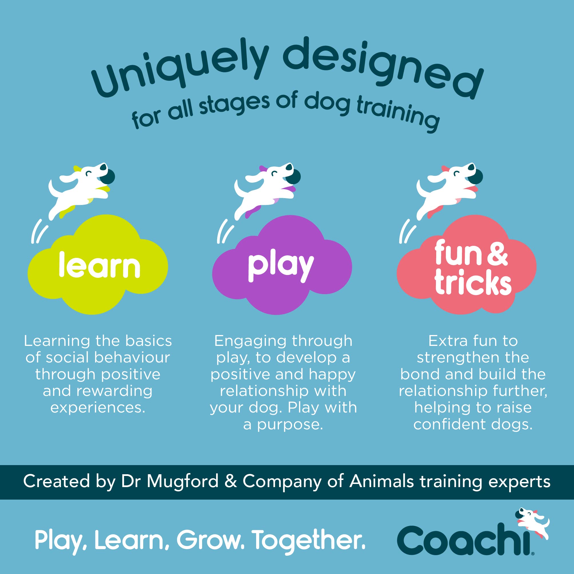 Coachi Training Dumbbell, Floats, Long Distance Throwing, Classic Retrieval Toy, Gundog and Puppy Training. Dog Accessory, Super