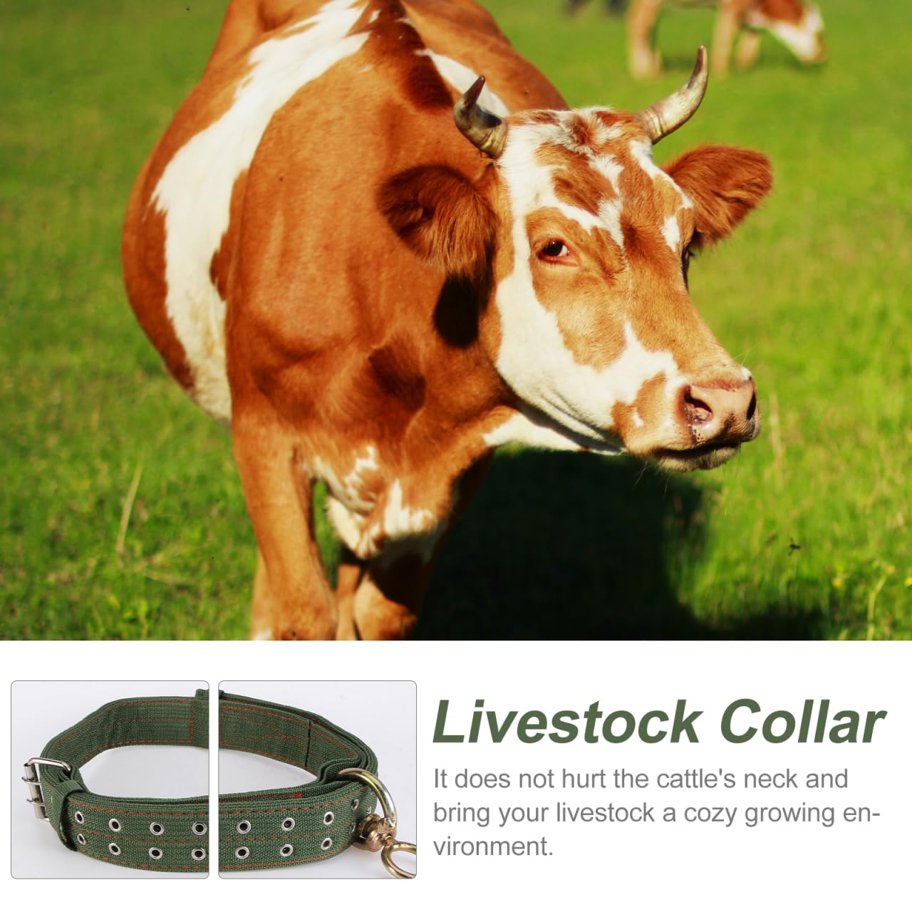 Doitool Cow Collar Canvas Calf Collar Neck Strap Adjustable Buckle Livestock Traction Necklace For Farm Animals Sheep Horse Pet