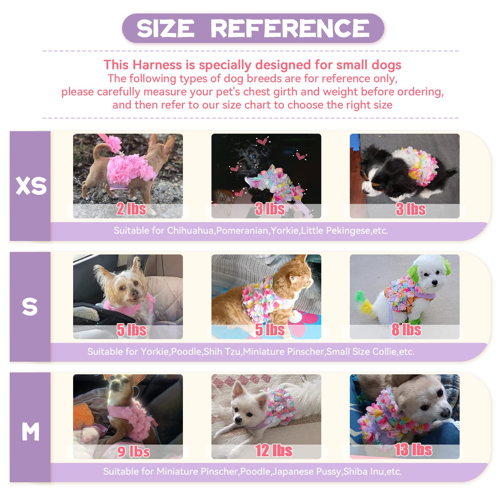 Tengzhi Puppy Dog Harness And Leash Set Purple Lace Floral Dog Vest Harness For Small Dogs Cute Soft Mesh Escape Proof Pet Cat Vest Harness