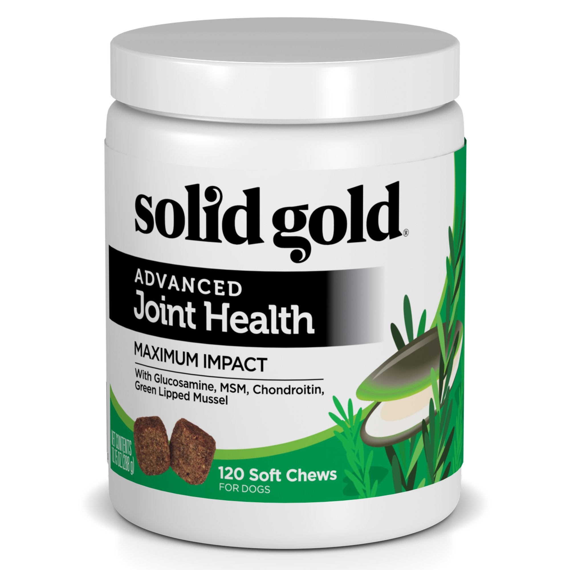 Solid Gold Glucosamine for Dogs Hip and Joint Supplement - Glucosamine Chondroitin MSM for Dog Pain Relief - Leaps & Hounds Chew